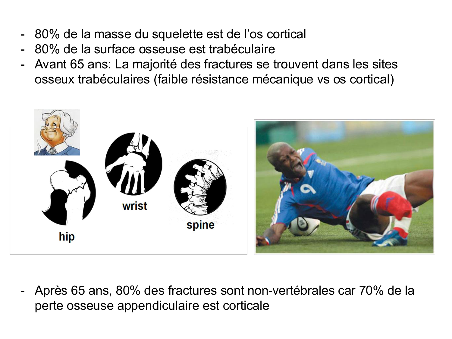 Structure et minéralisation osseuses page 10