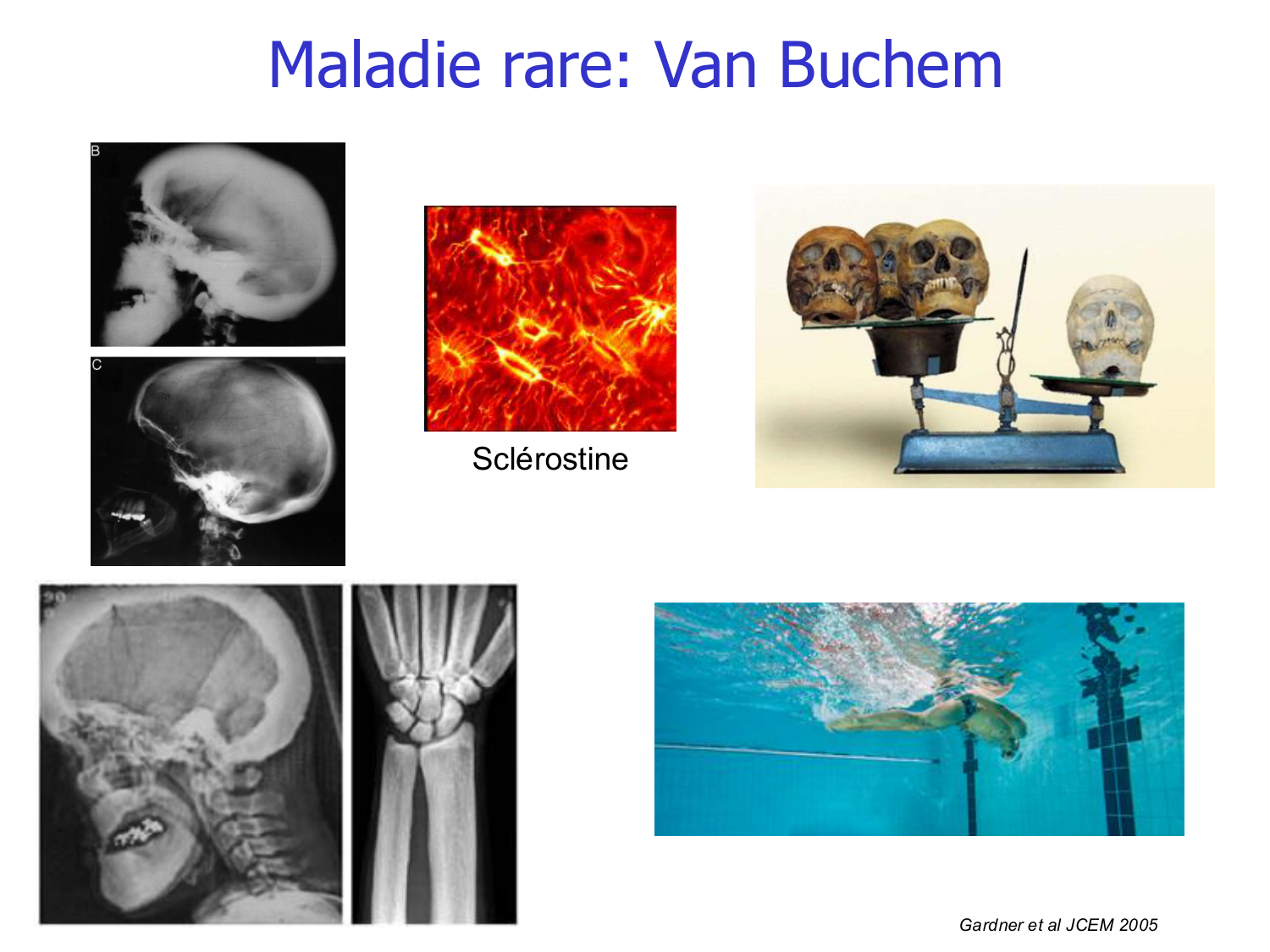 Structure et minéralisation osseuses page 12