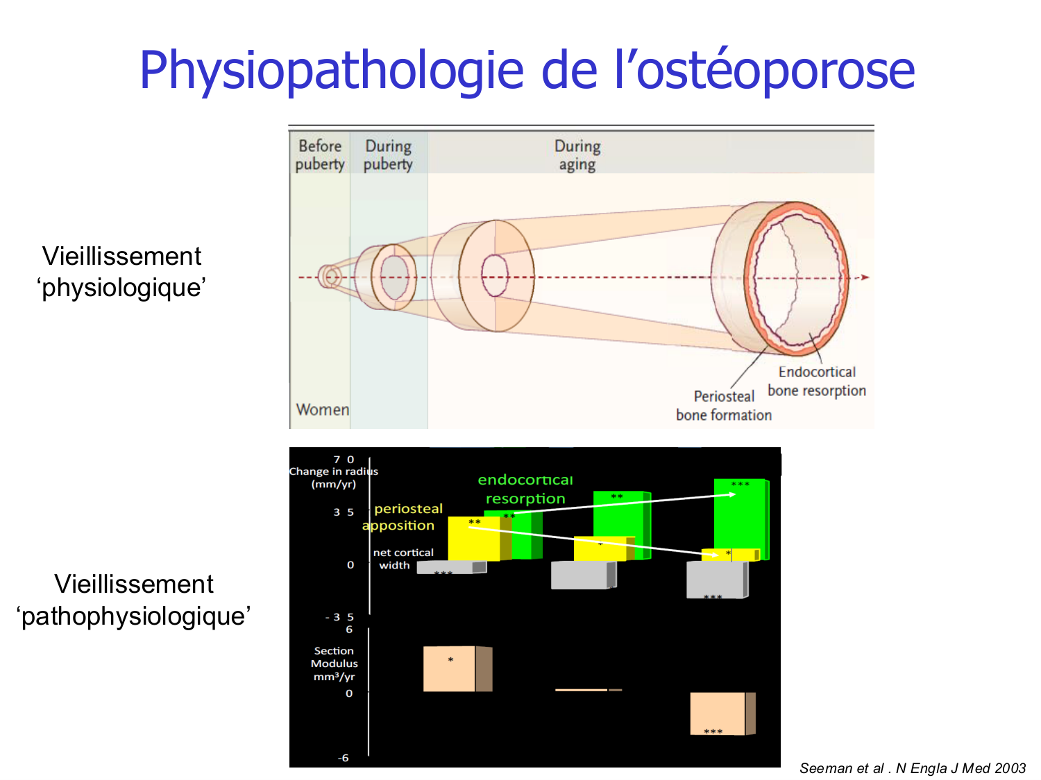 Structure et minéralisation osseuses page 18