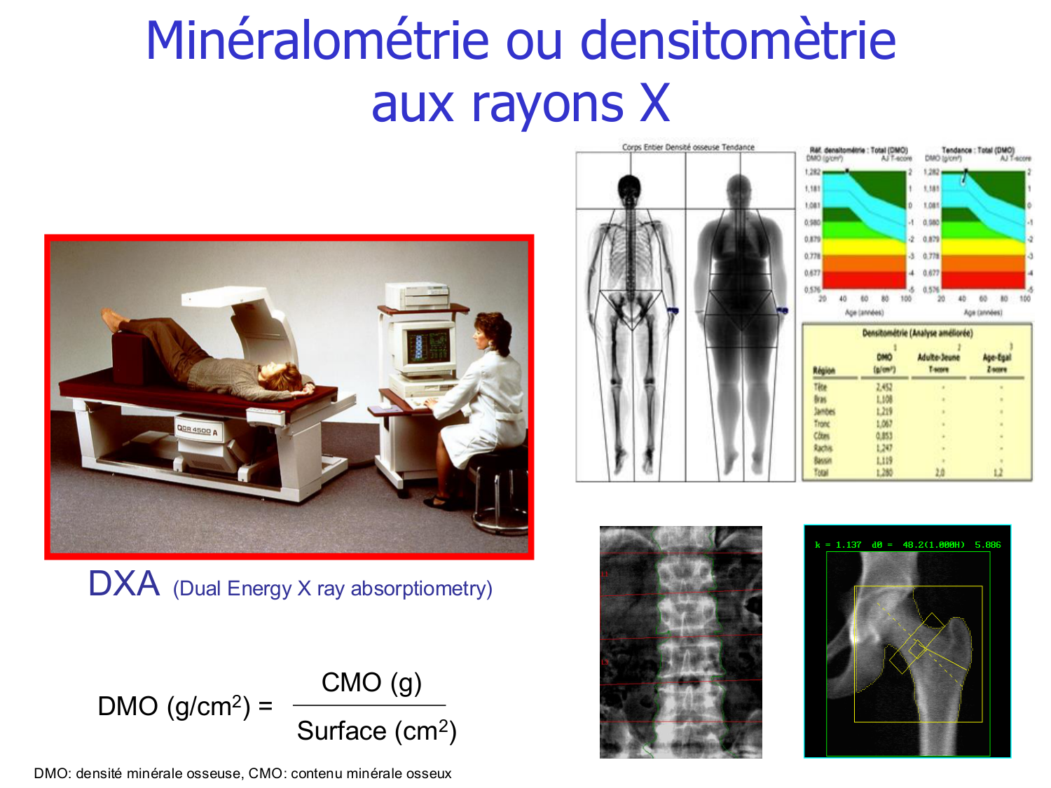 Structure et minéralisation osseuses page 39