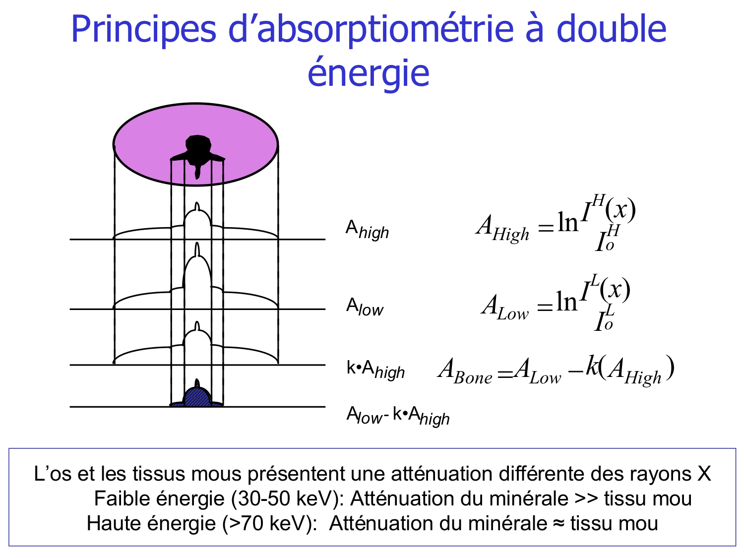 Structure et minéralisation osseuses page 40
