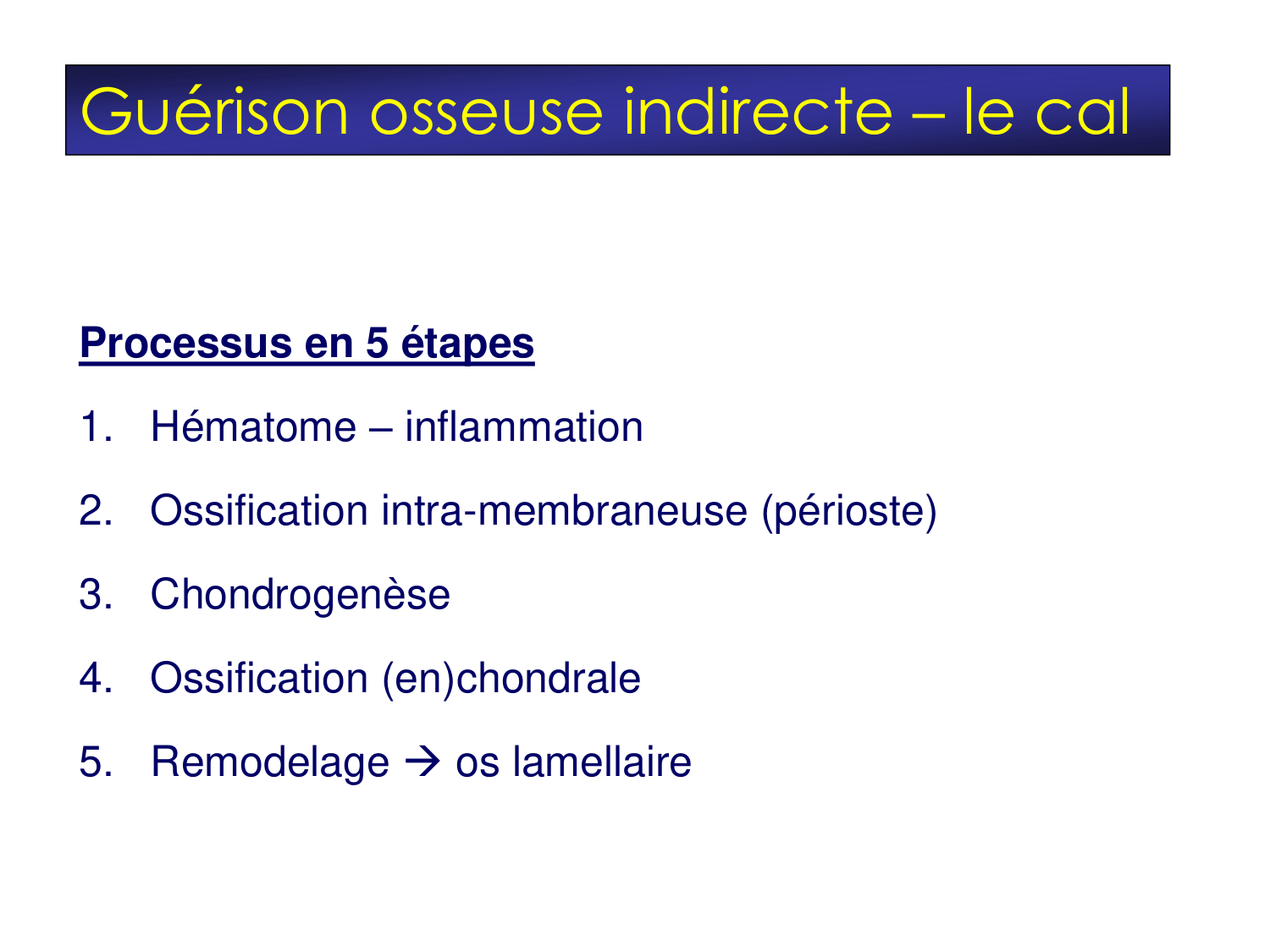 Fractures et réparation page 8