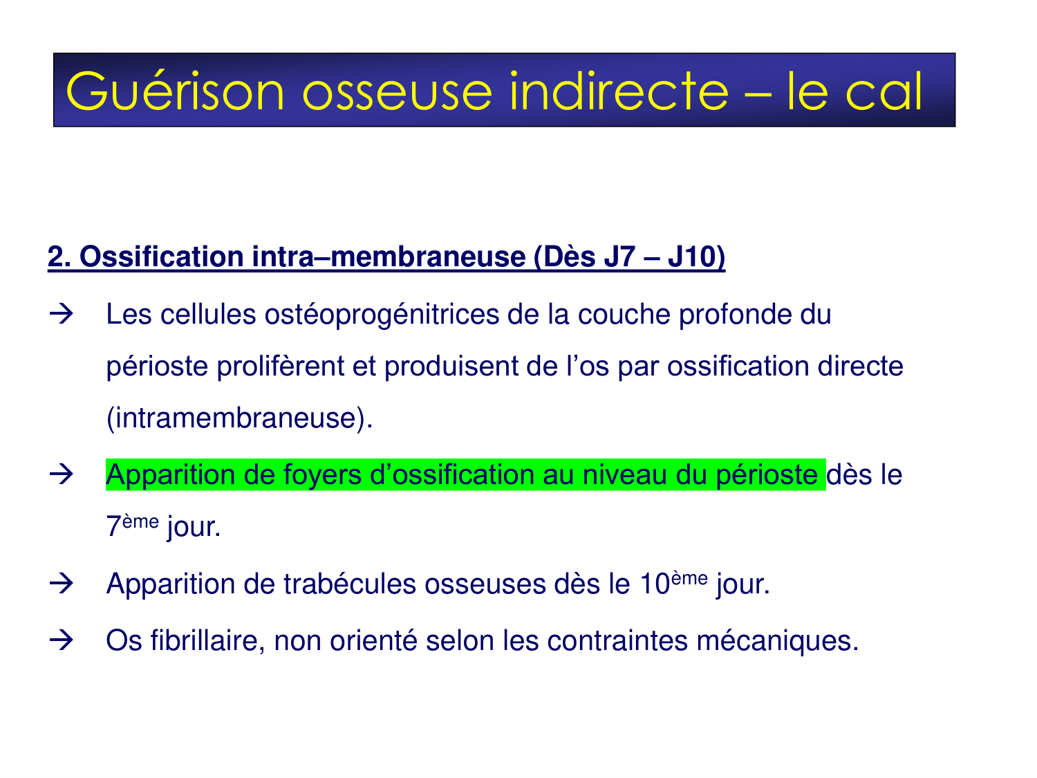 Fractures et réparation page 10