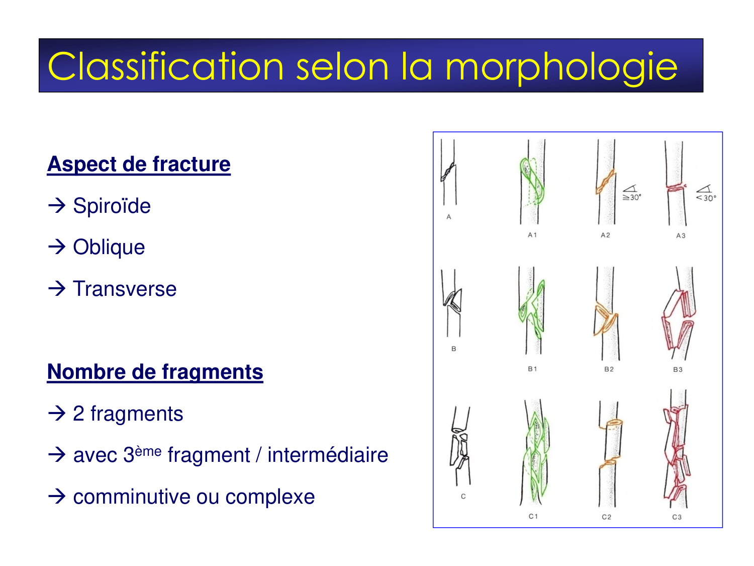 Fractures et réparation page 21