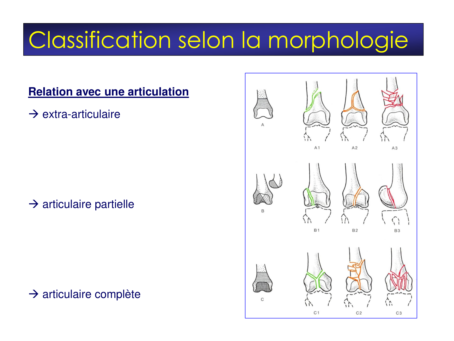 Fractures et réparation page 23