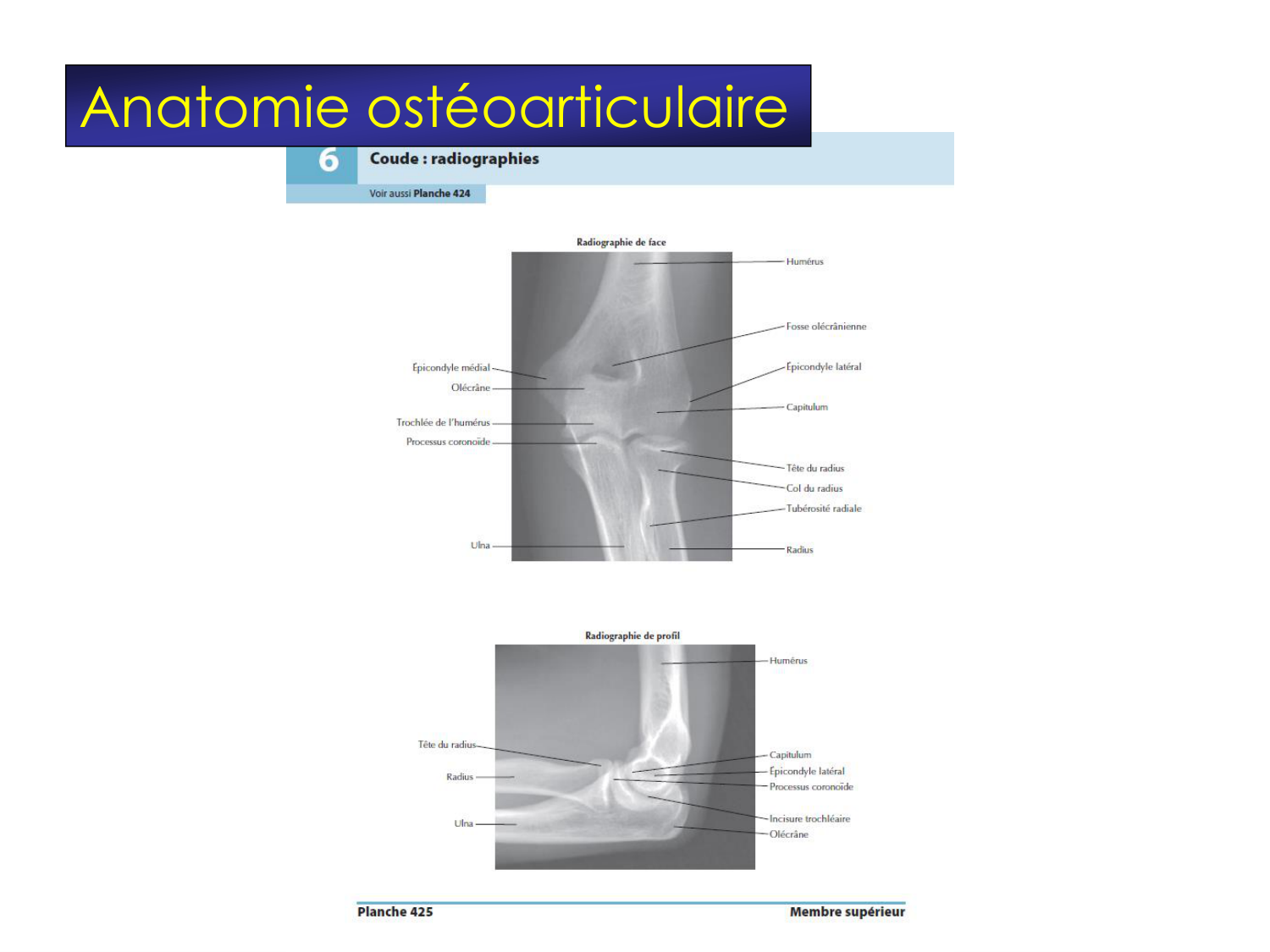 Fractures et réparation page 39