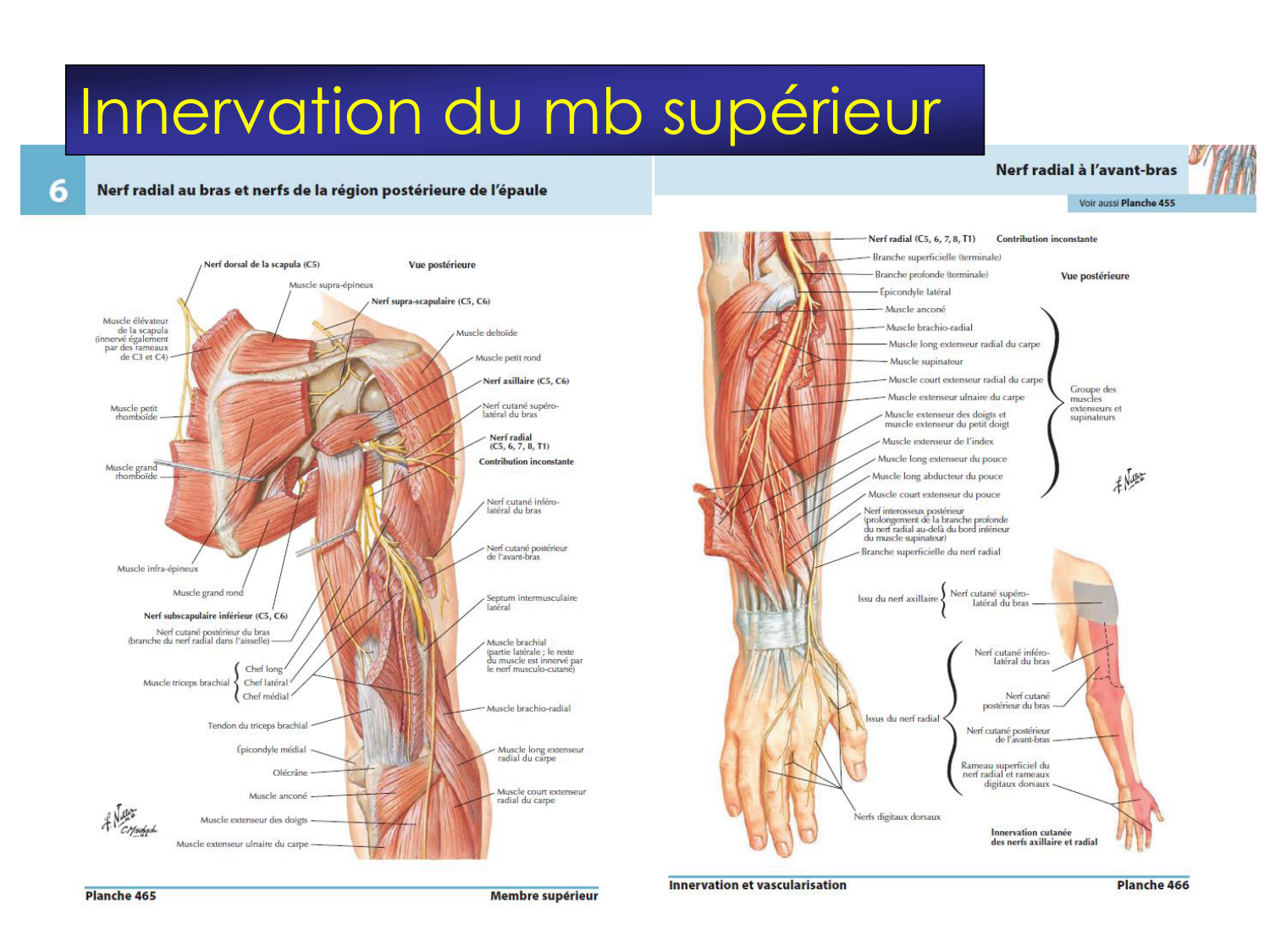 Fractures et réparation page 49