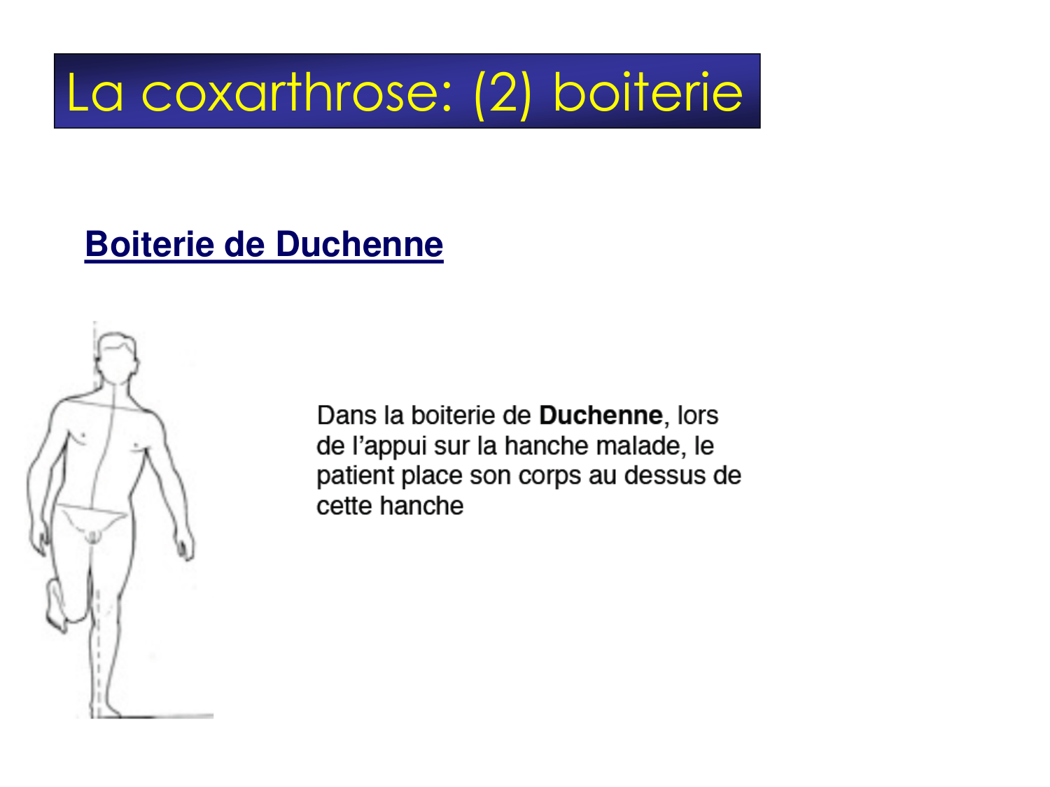 Fractures et réparation page 60
