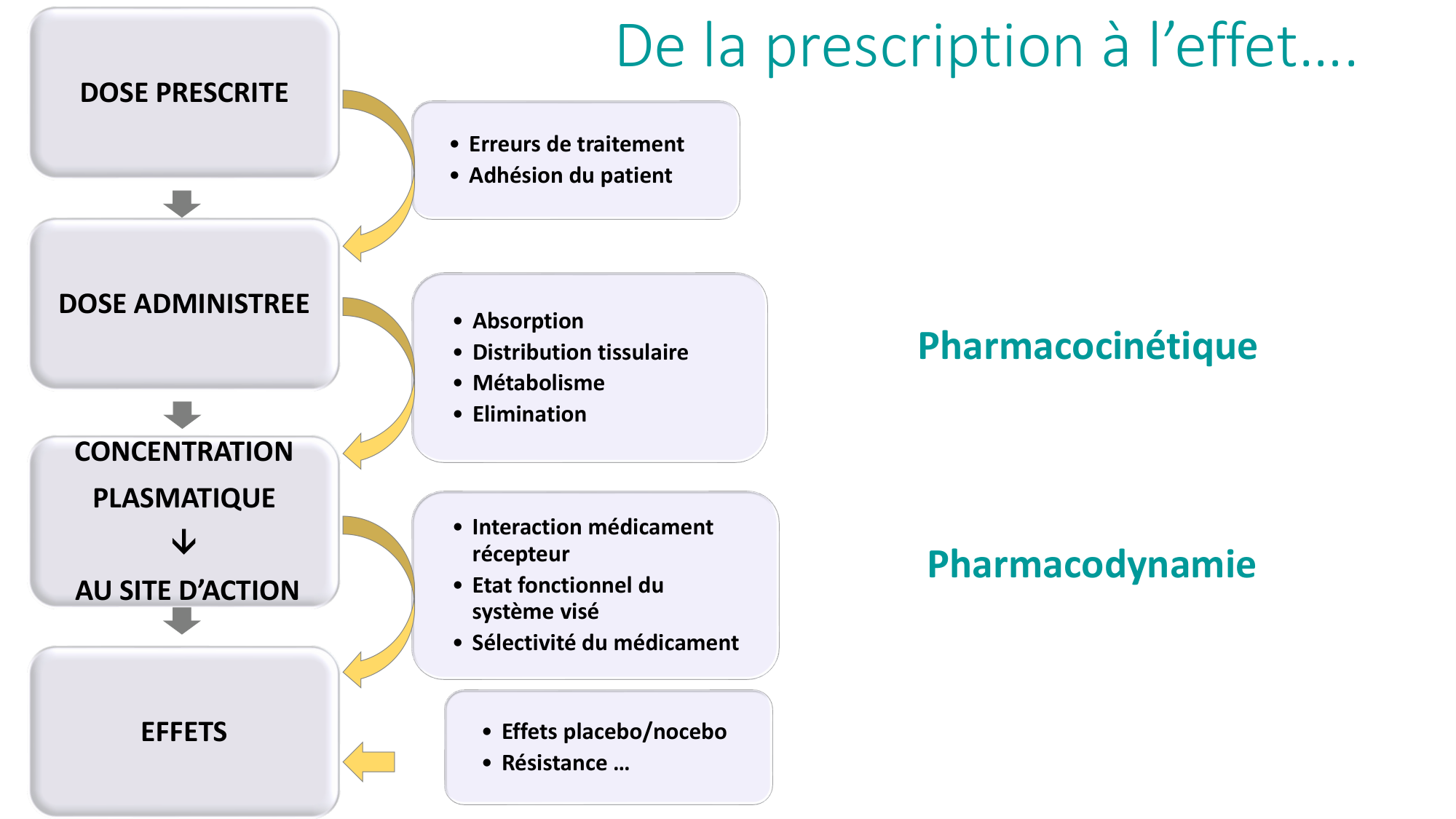Principes de base de la pharmacologie page 9