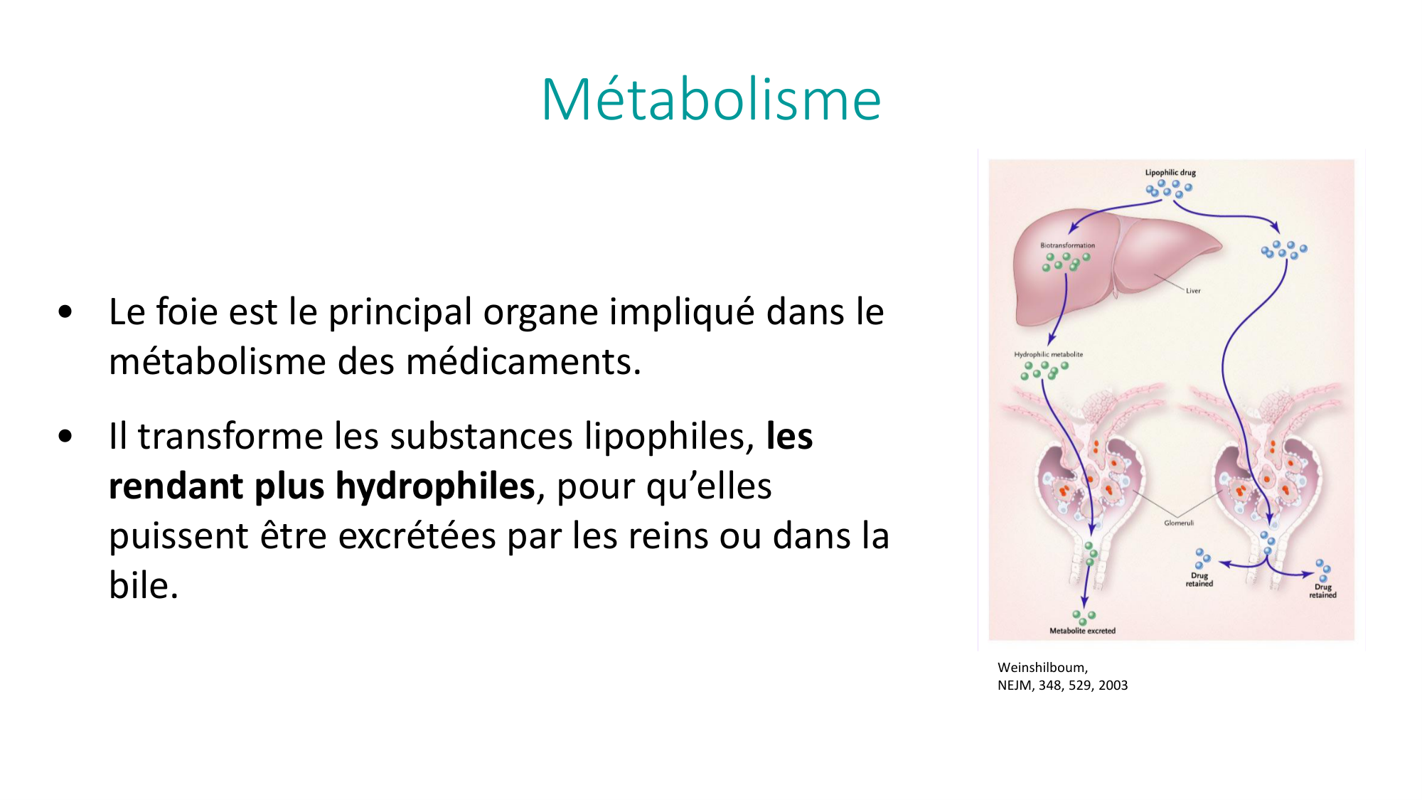 Principes de base de la pharmacologie page 25