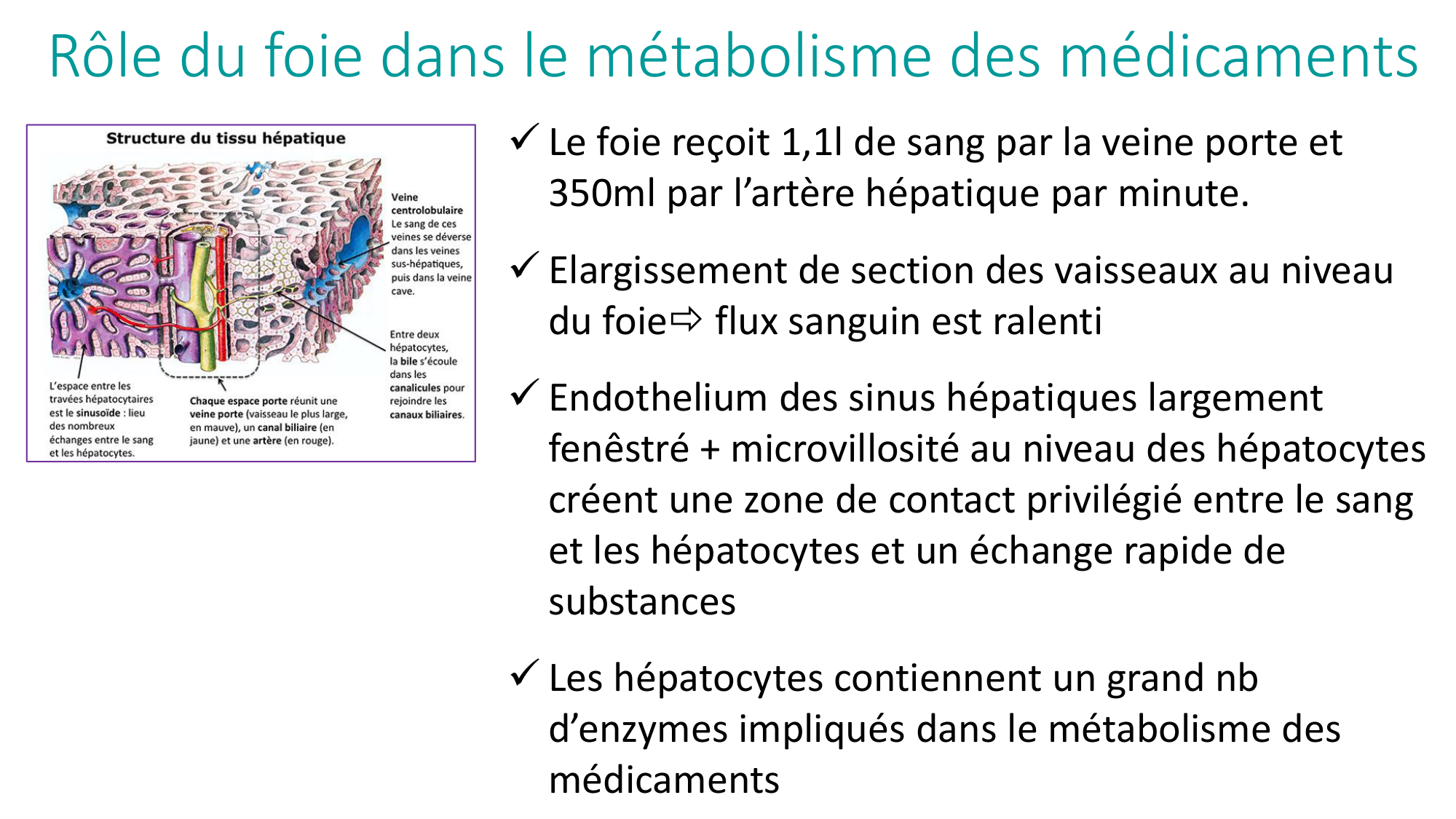 Principes de base de la pharmacologie page 26