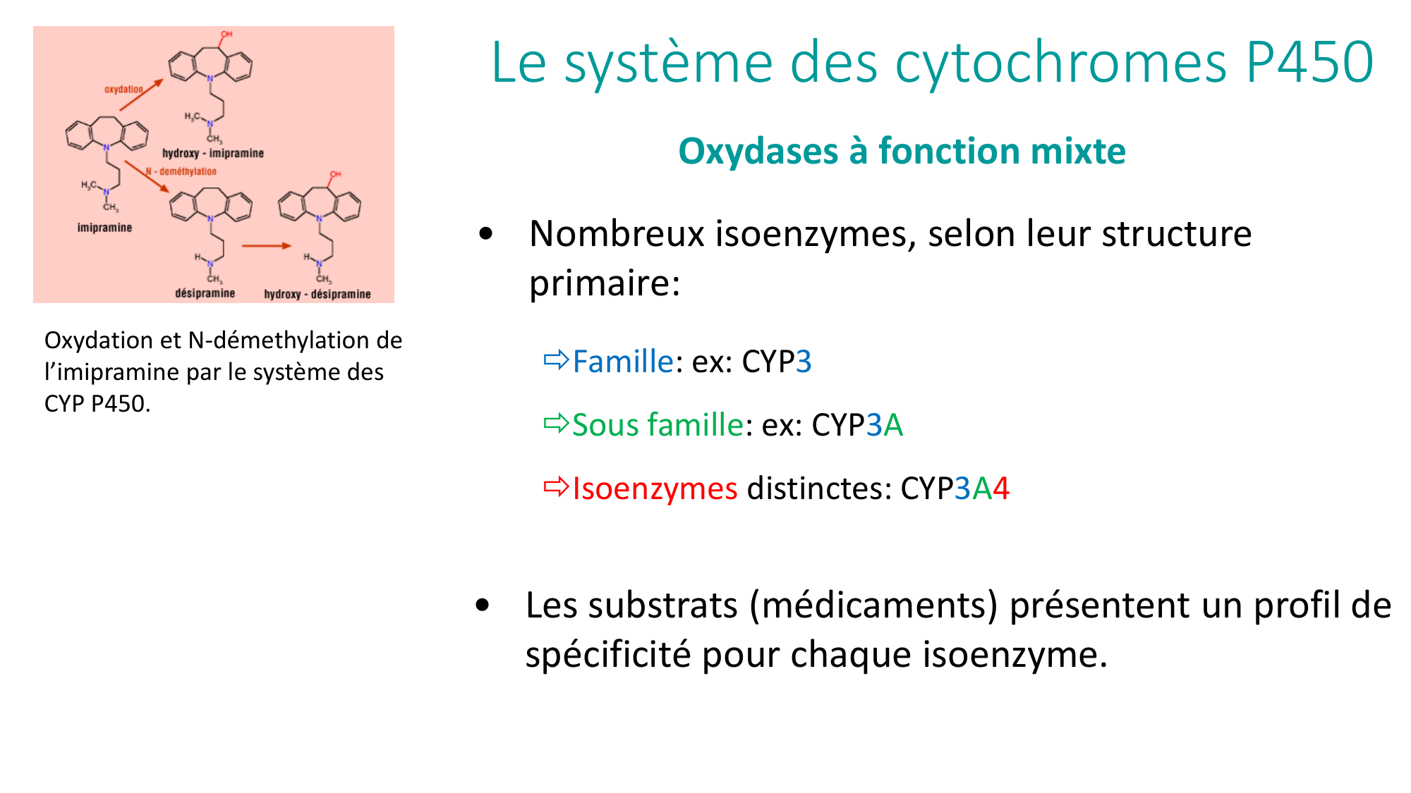 Principes de base de la pharmacologie page 29