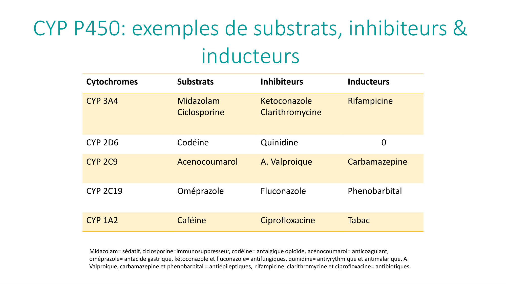 Principes de base de la pharmacologie page 31