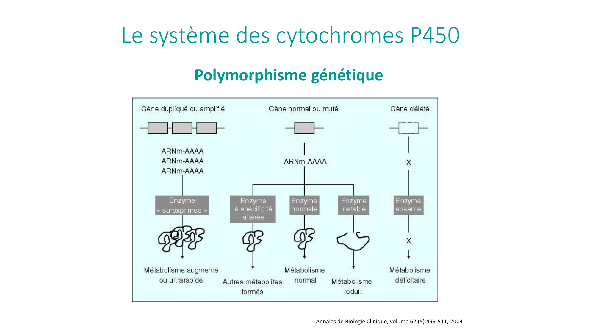 Principes de base de la pharmacologie page 32