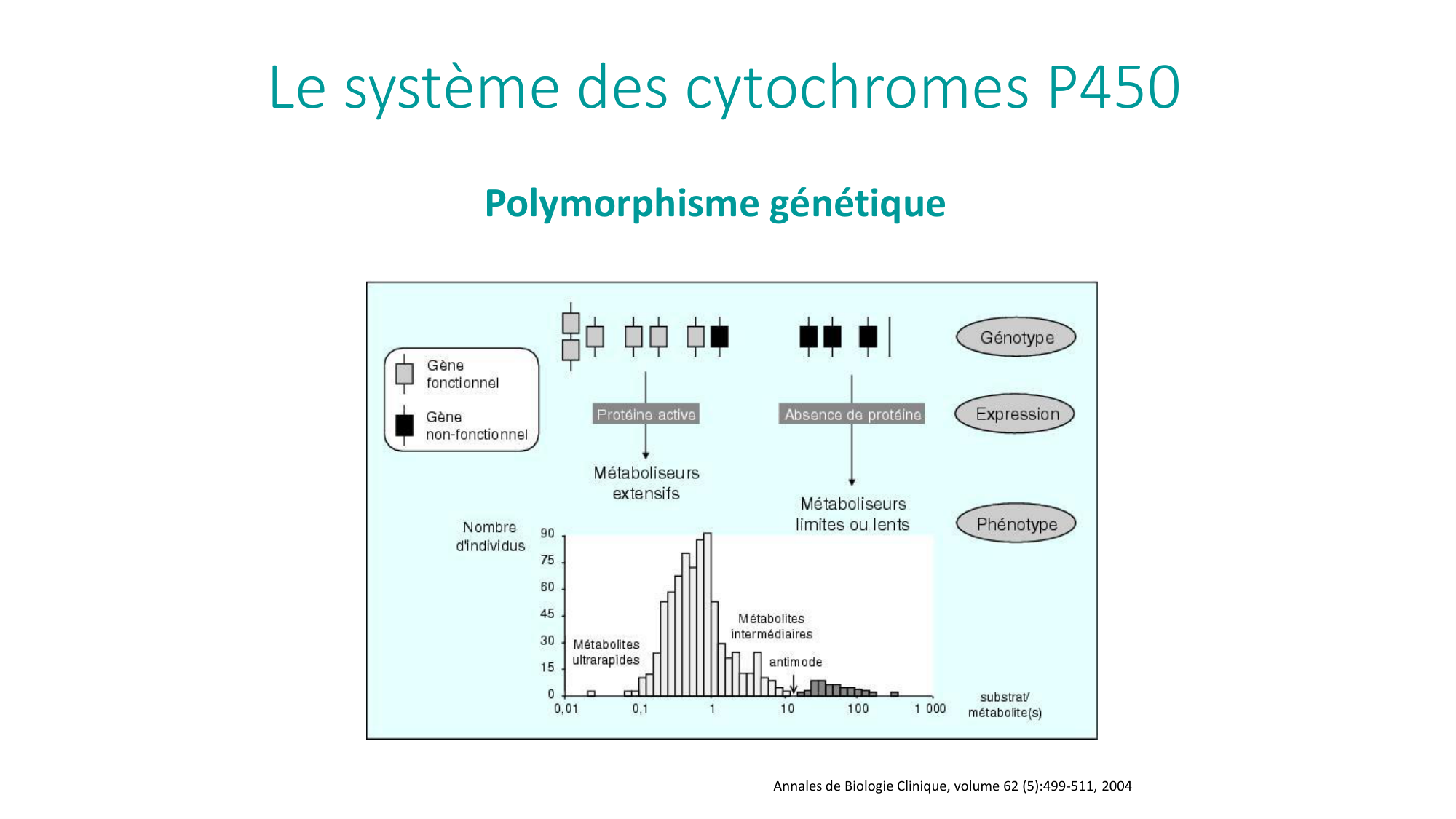 Principes de base de la pharmacologie page 33