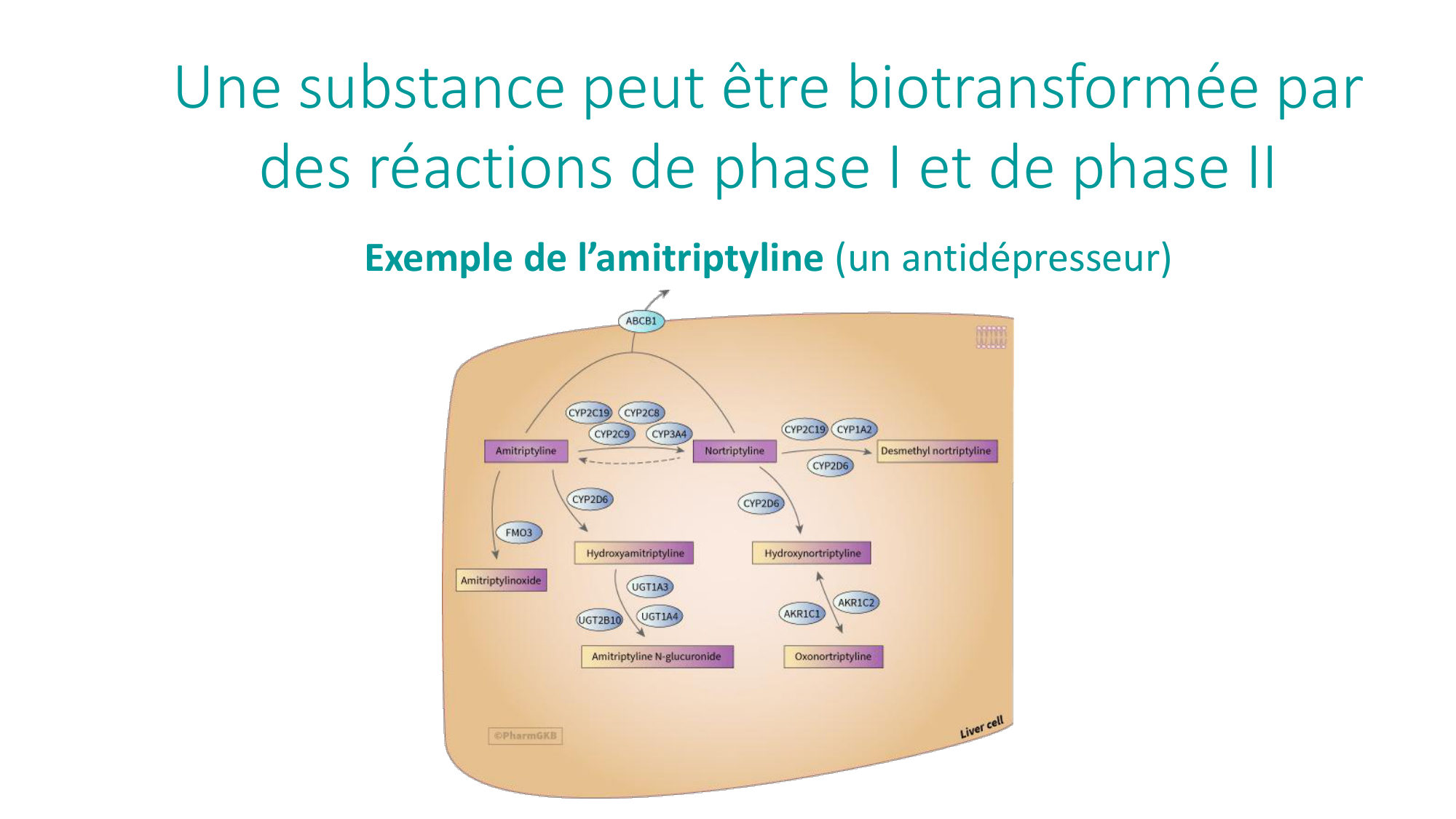 Principes de base de la pharmacologie page 37