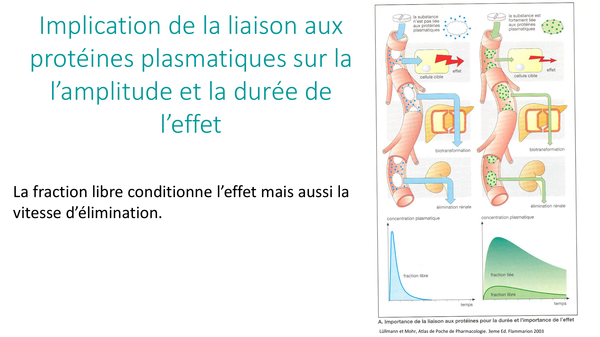 Principes de base de la pharmacologie page 43