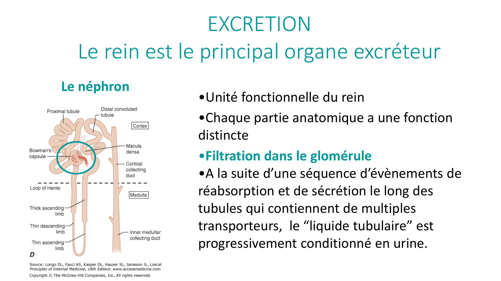Principes de base de la pharmacologie page 44
