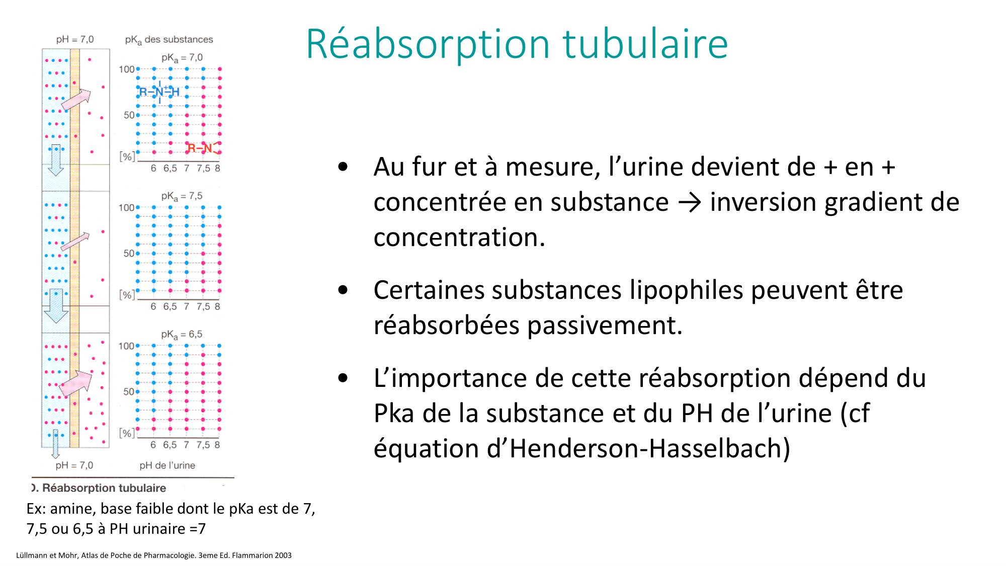 Principes de base de la pharmacologie page 46