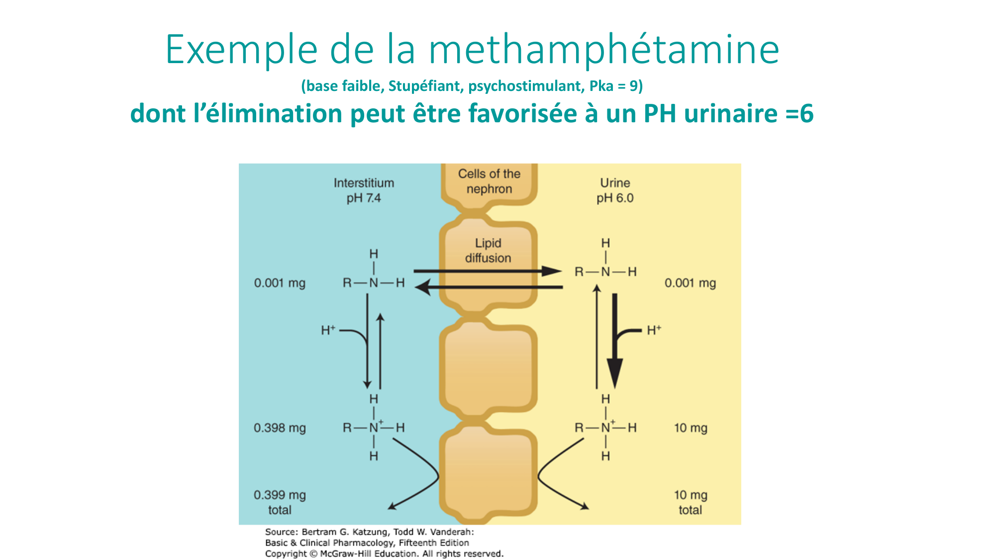 Principes de base de la pharmacologie page 47