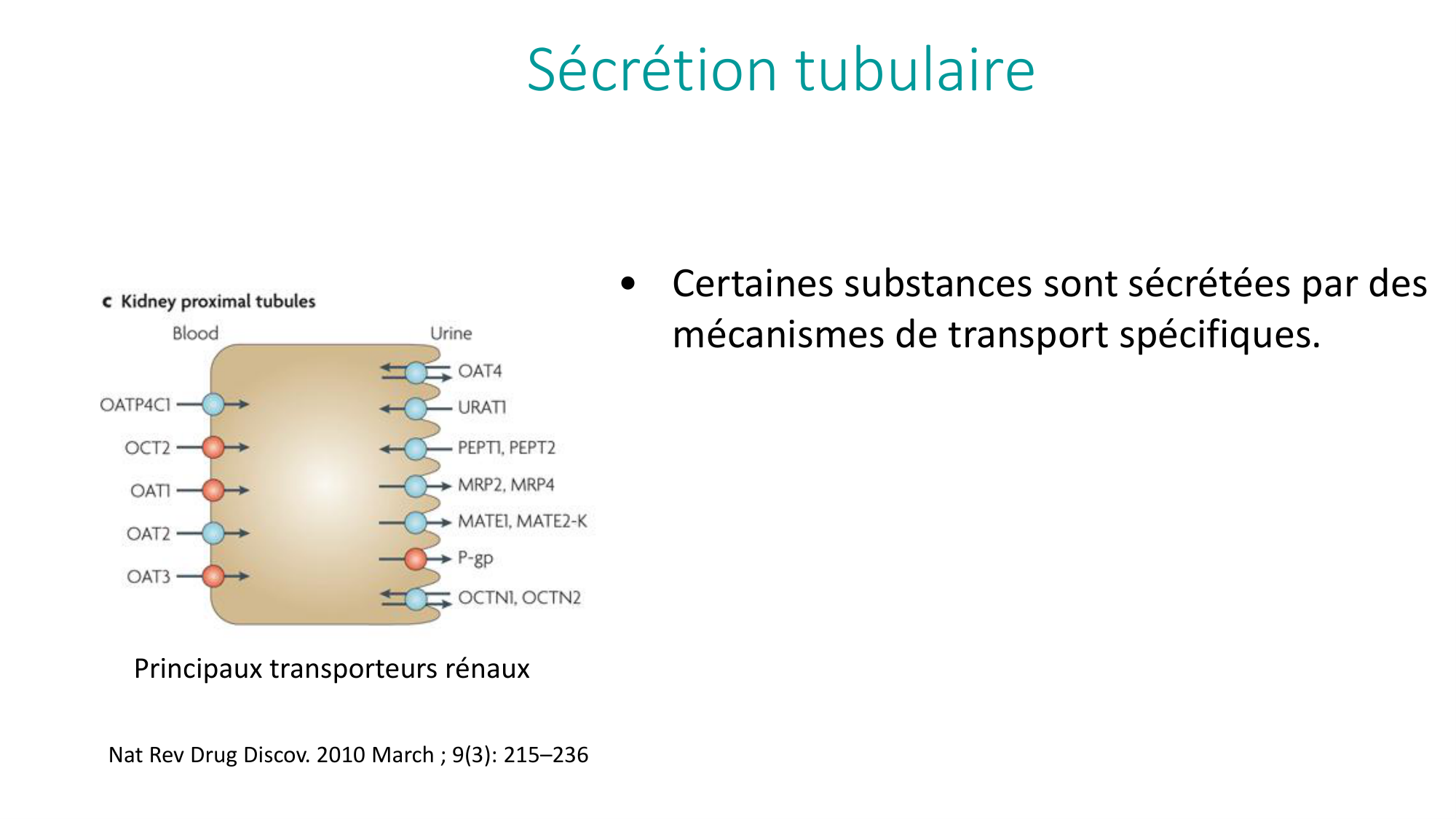 Principes de base de la pharmacologie page 48