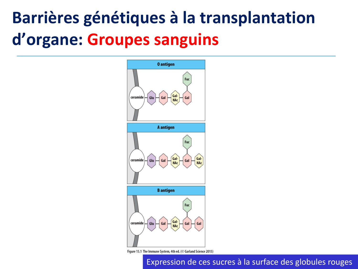 1ere 18.03 2026 Villard day 1 page 13