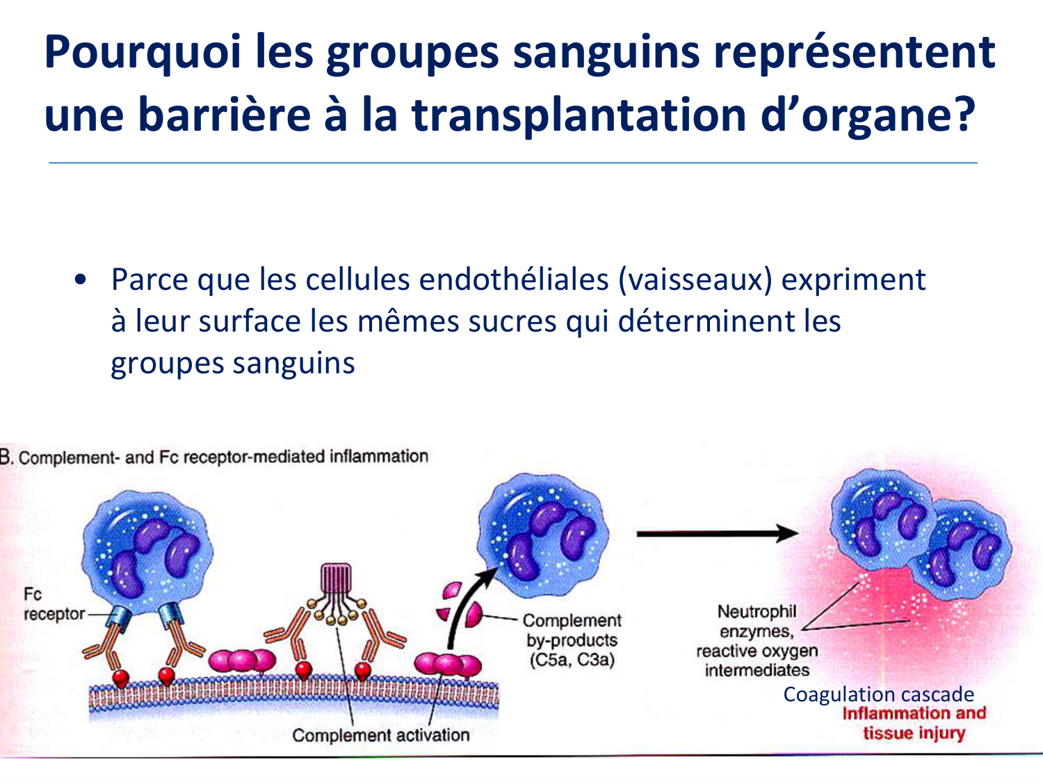 1ere 18.03 2026 Villard day 1 page 14