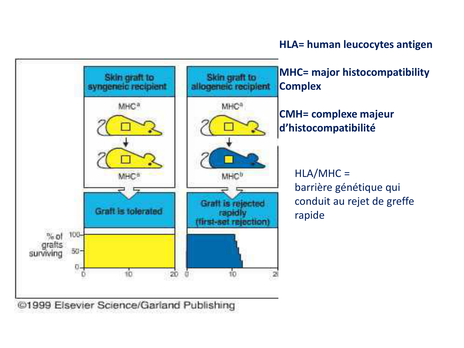 1ere 18.03 2026 Villard day 1 page 16