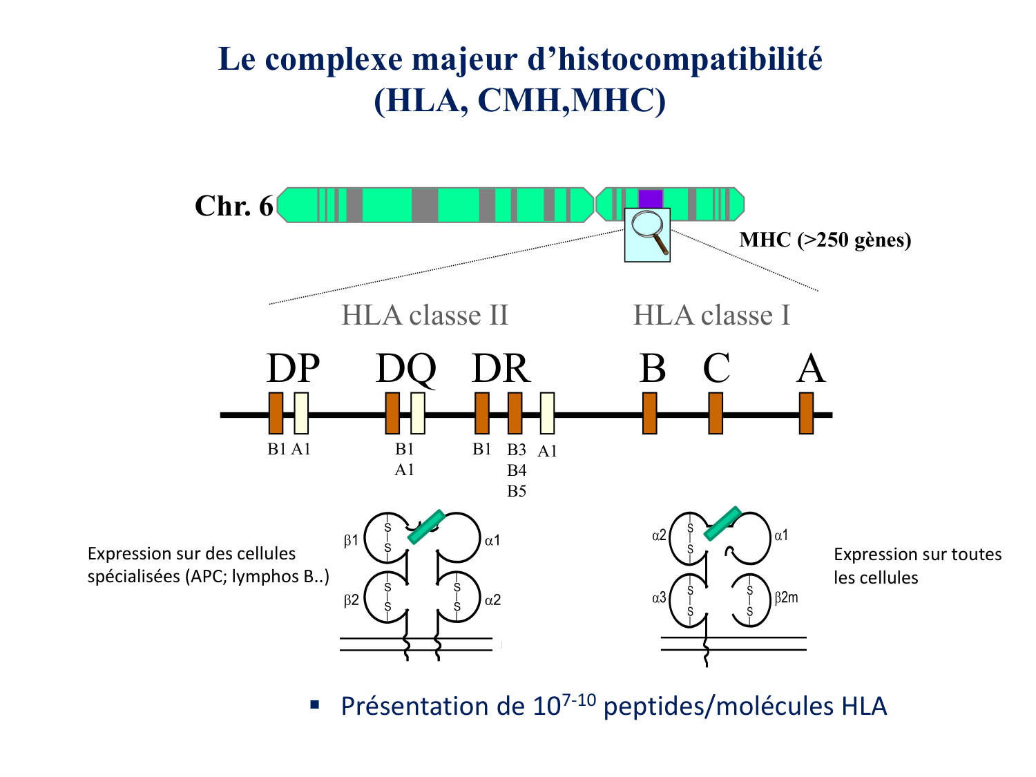 1ere 18.03 2026 Villard day 1 page 17
