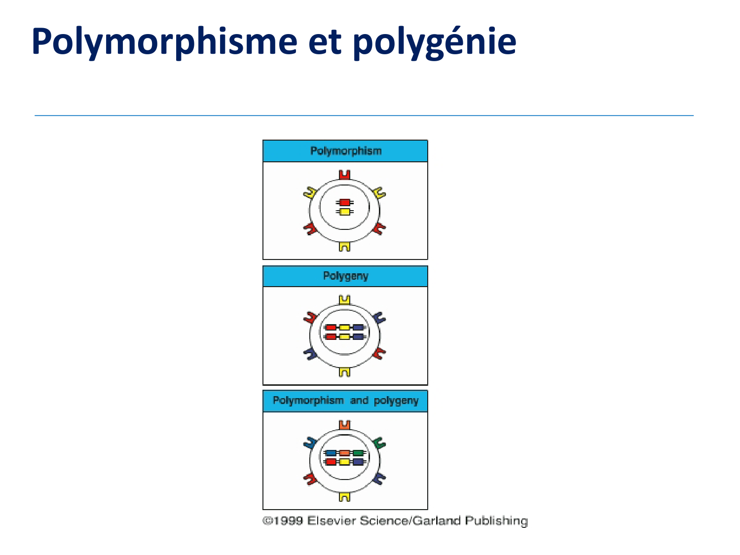 1ere 18.03 2026 Villard day 1 page 21