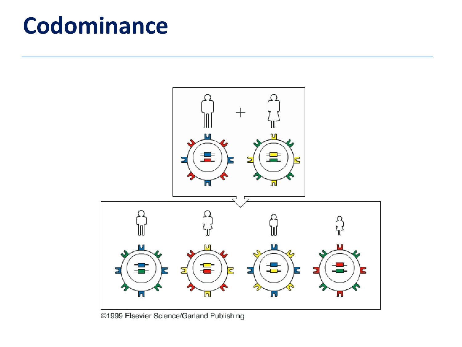 1ere 18.03 2026 Villard day 1 page 22