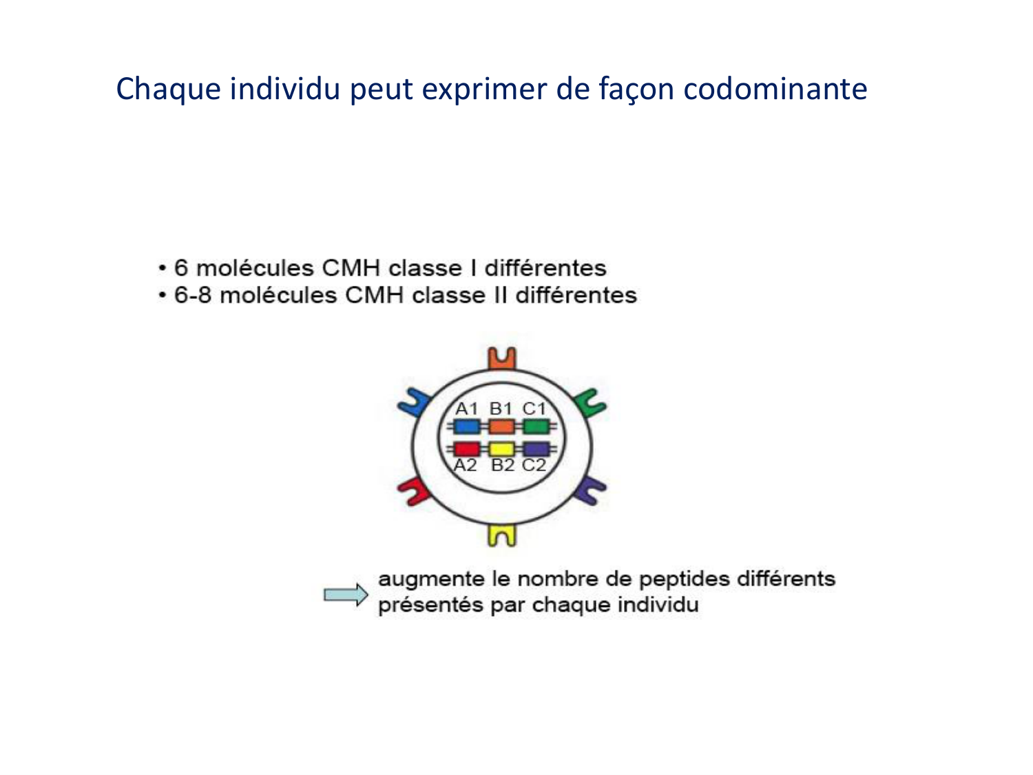 1ere 18.03 2026 Villard day 1 page 23