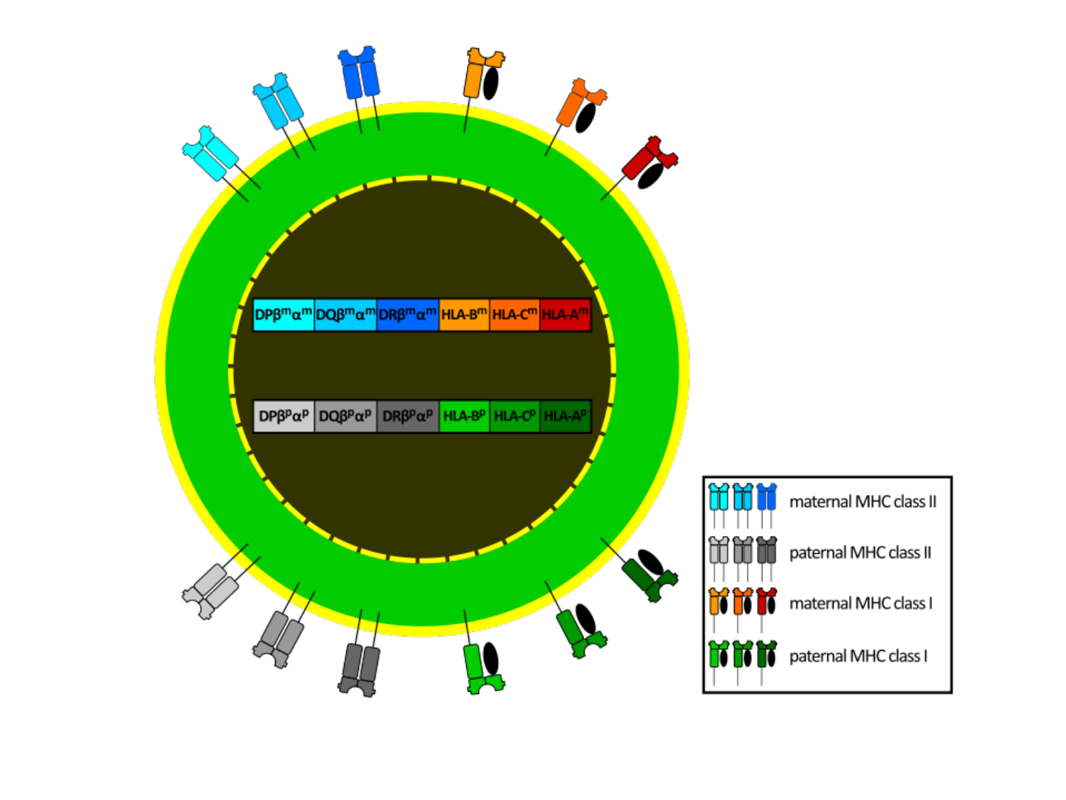 1ere 18.03 2026 Villard day 1 page 24