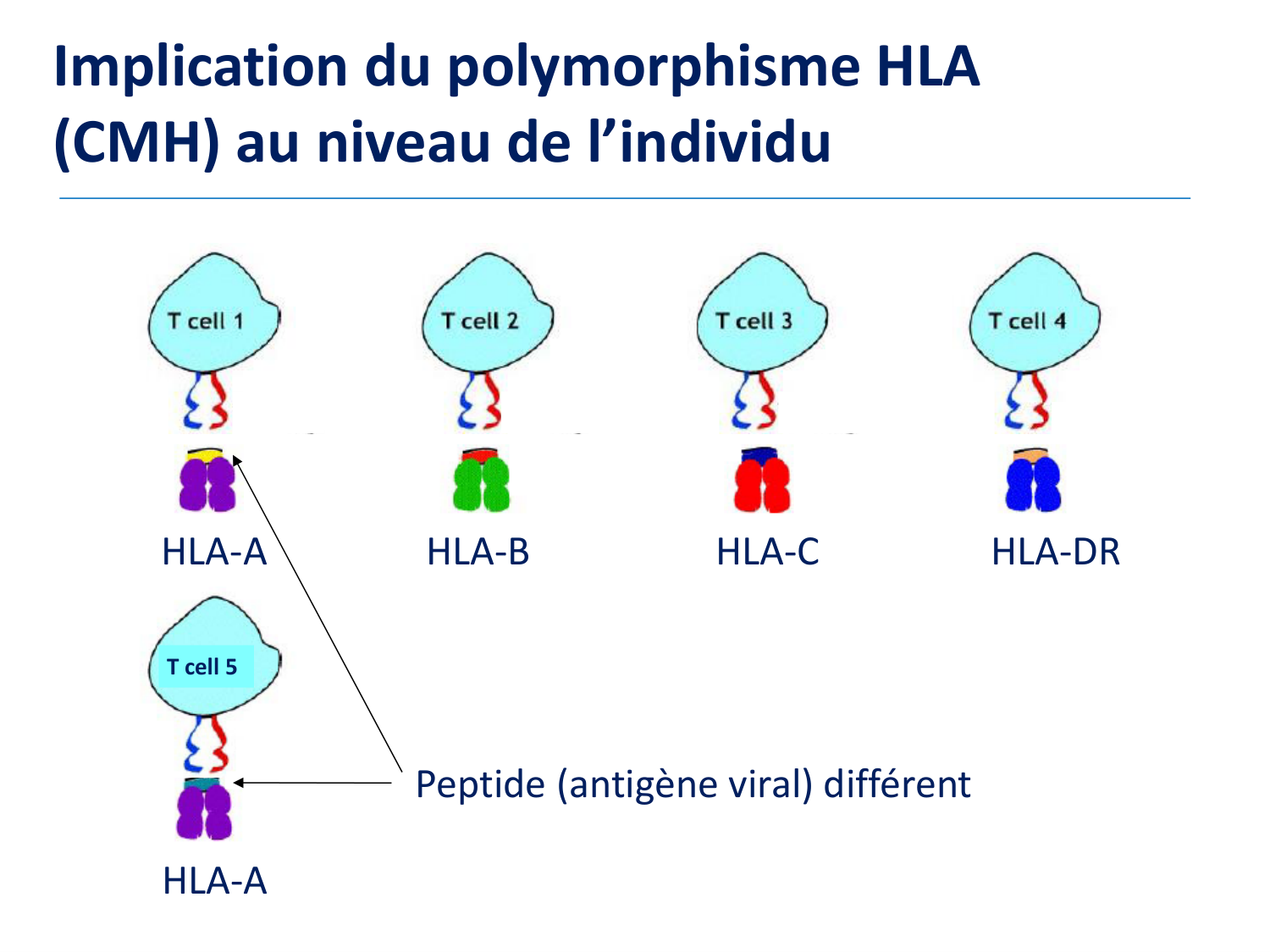 1ere 18.03 2026 Villard day 1 page 27