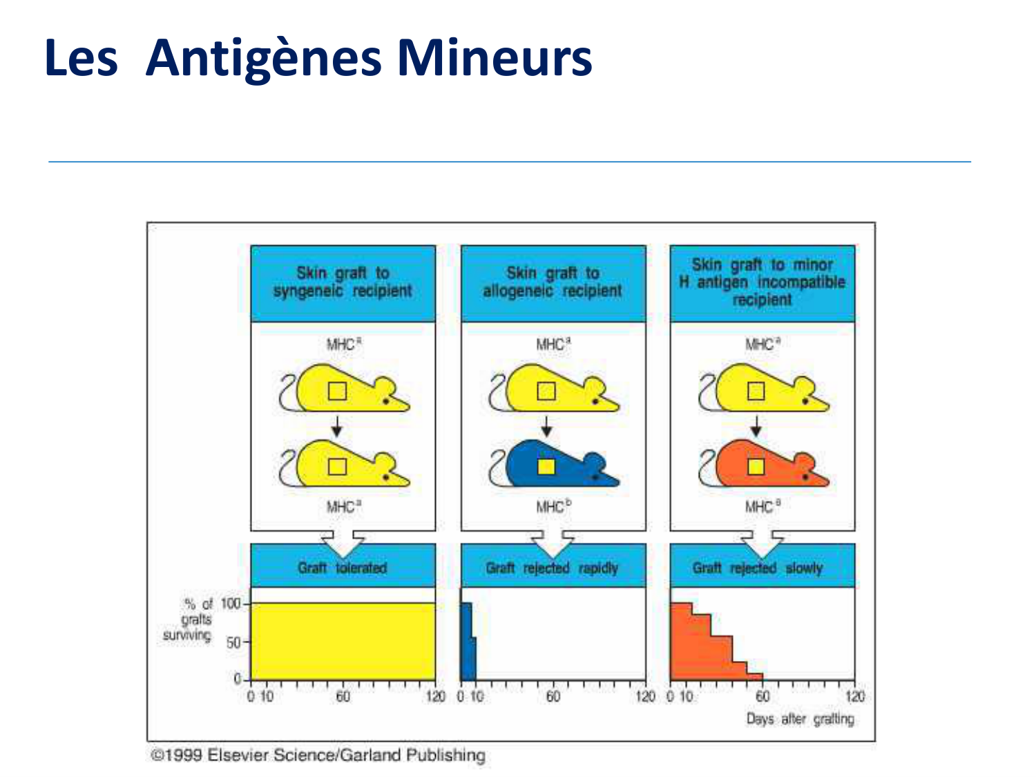 1ere 18.03 2026 Villard day 1 page 32