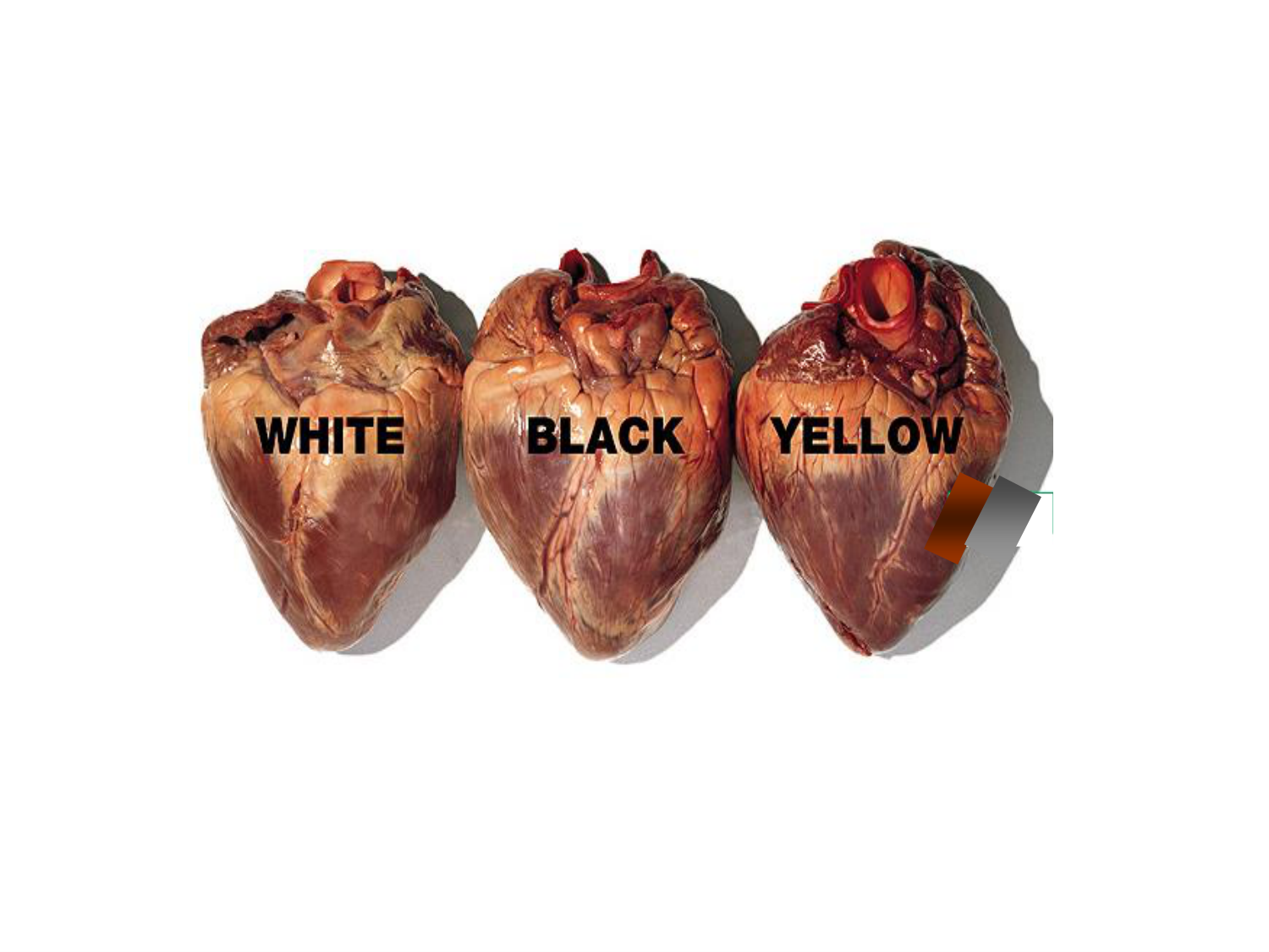 1ere 18.03 2026 Villard day 1 page 35