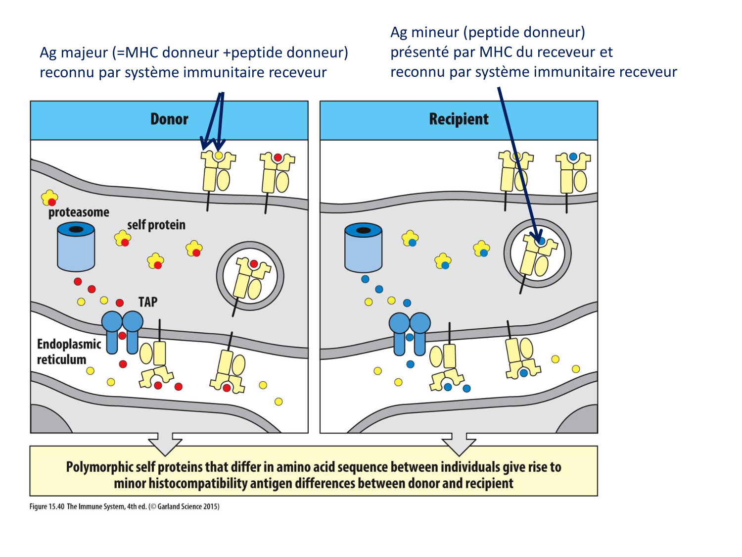 1ere 18.03 2026 Villard day 1 page 36