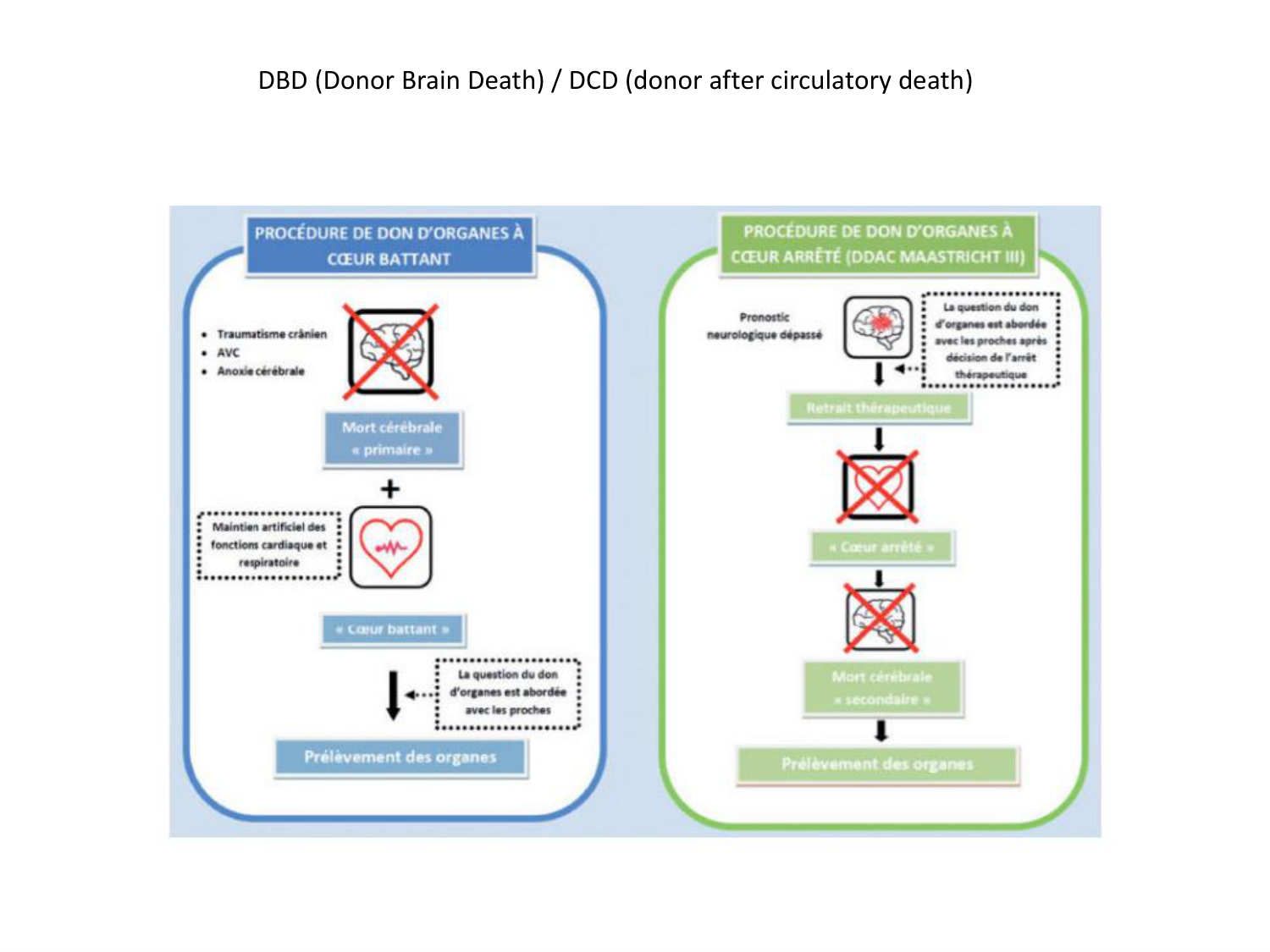 1ere 18.03 2026 Villard day 1 page 56