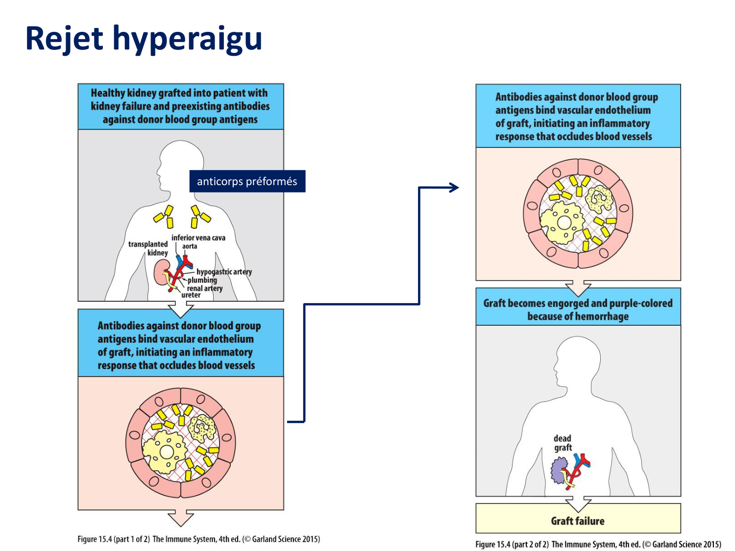 1ere 20.03 2026 Villard day 2 page 4