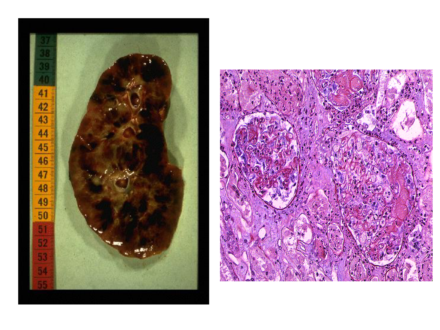 1ere 20.03 2026 Villard day 2 page 7