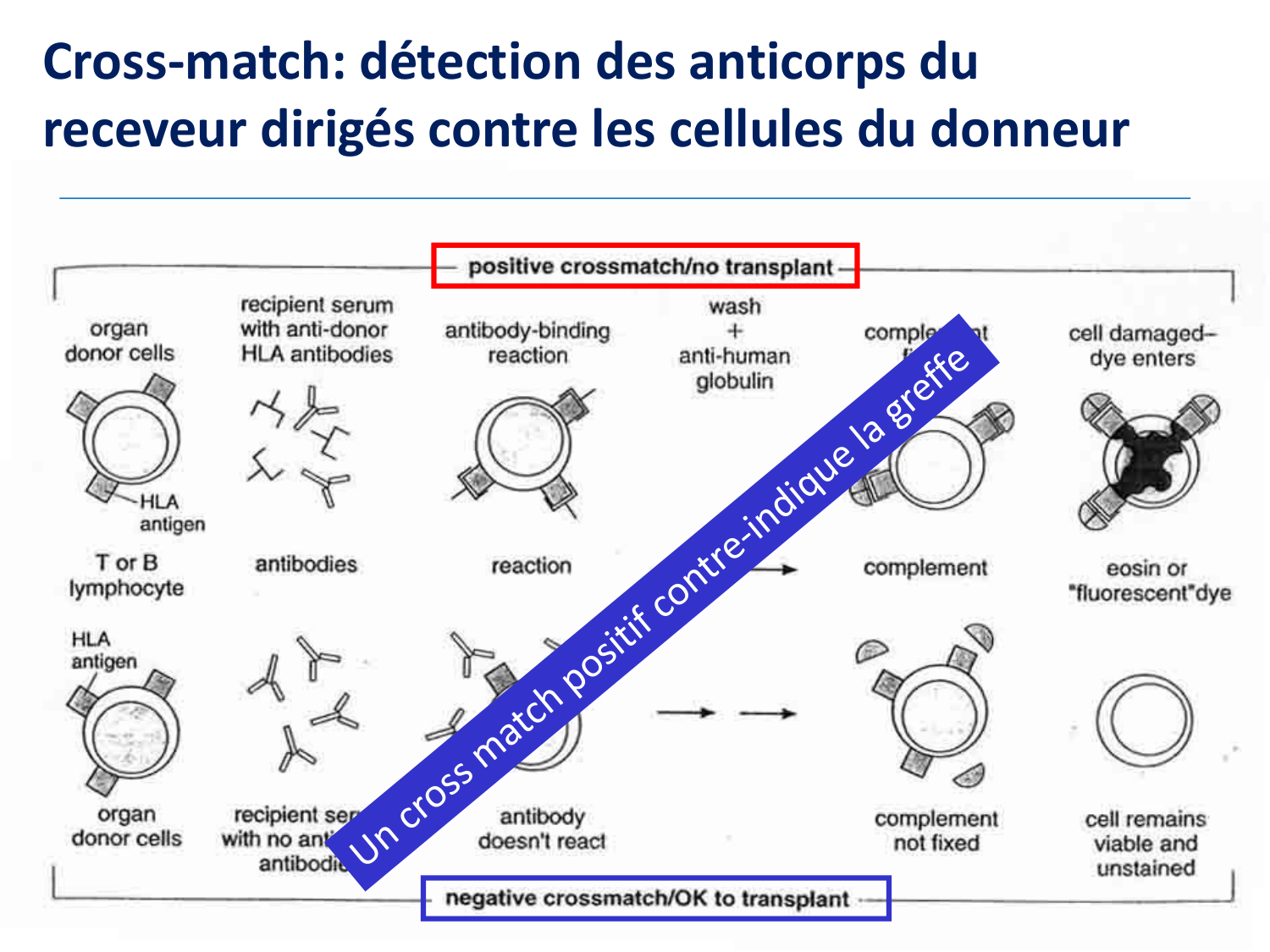 1ere 20.03 2026 Villard day 2 page 8