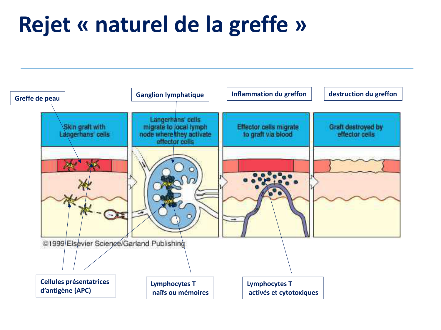 1ere 20.03 2026 Villard day 2 page 10