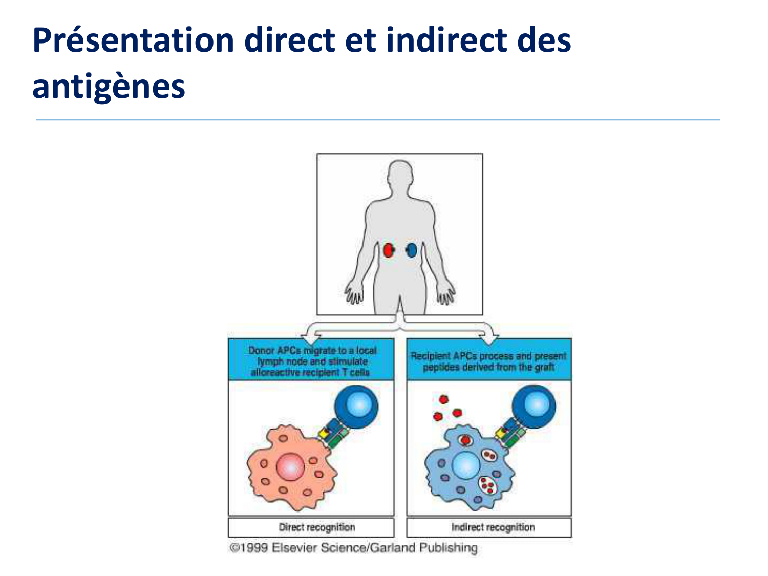 1ere 20.03 2026 Villard day 2 page 12