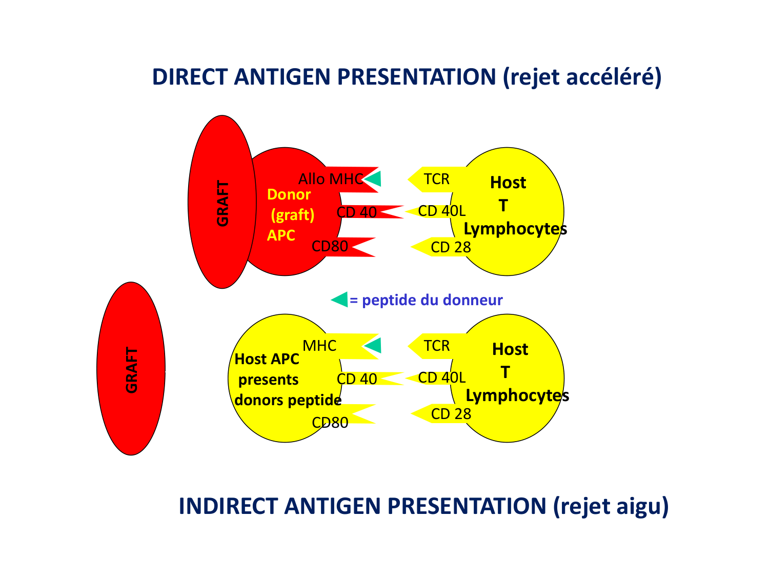 1ere 20.03 2026 Villard day 2 page 13