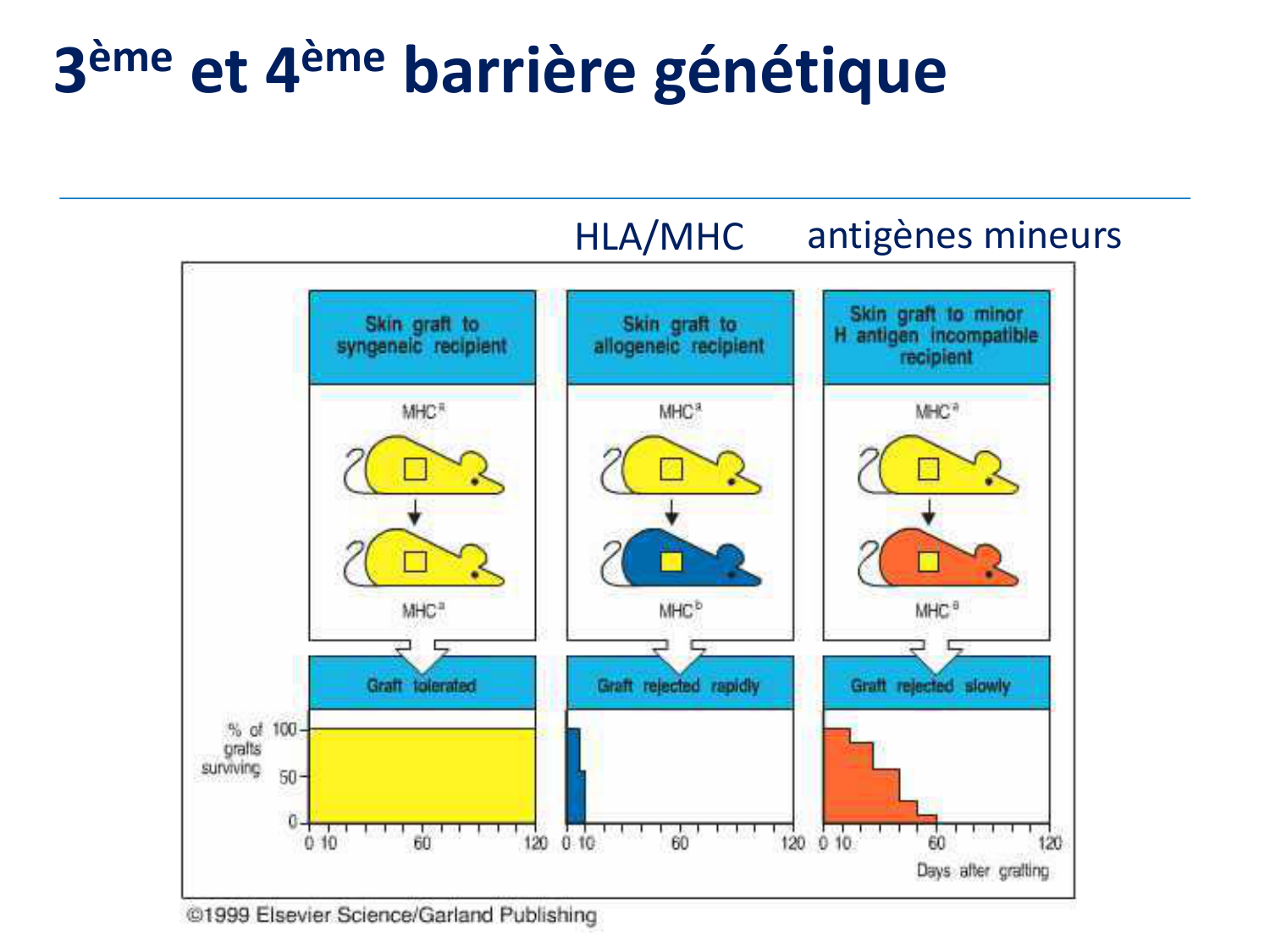 1ere 20.03 2026 Villard day 2 page 14