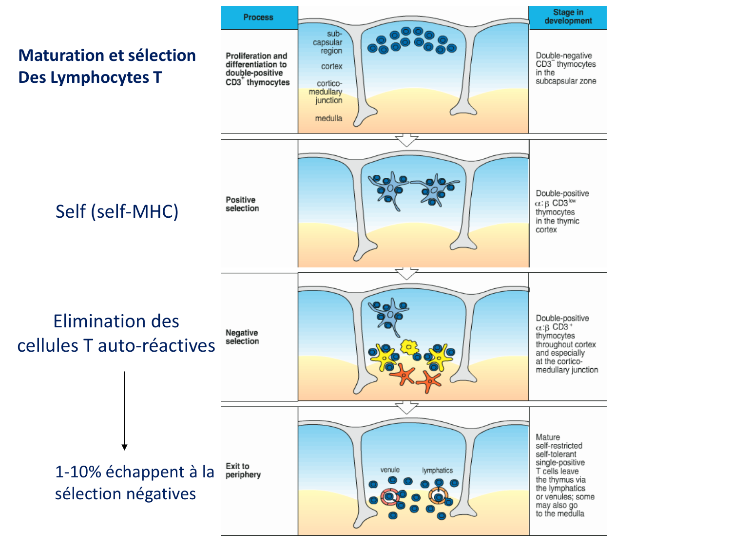 1ere 20.03 2026 Villard day 2 page 16