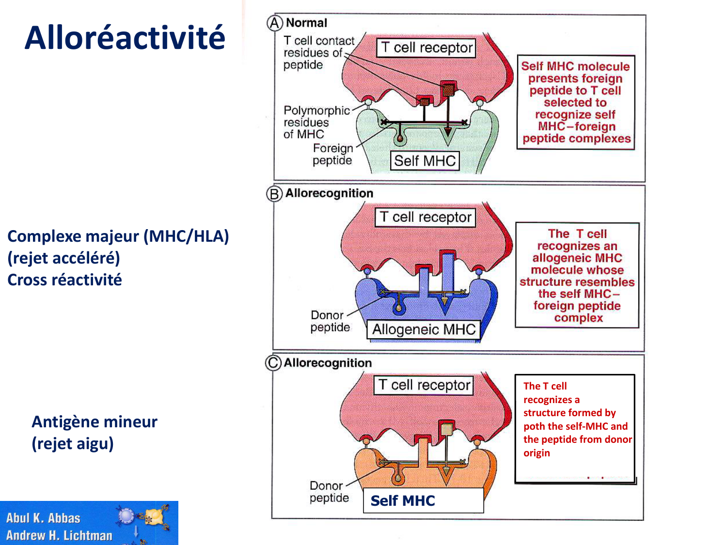 1ere 20.03 2026 Villard day 2 page 18