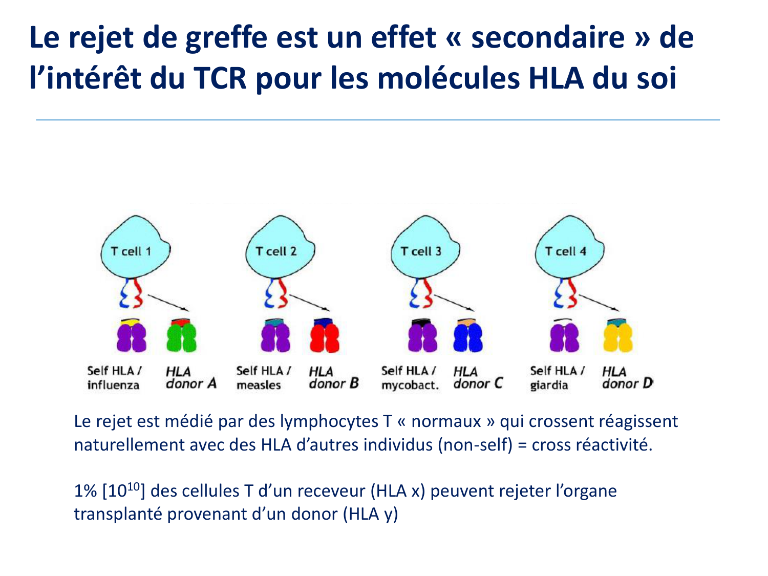 1ere 20.03 2026 Villard day 2 page 19