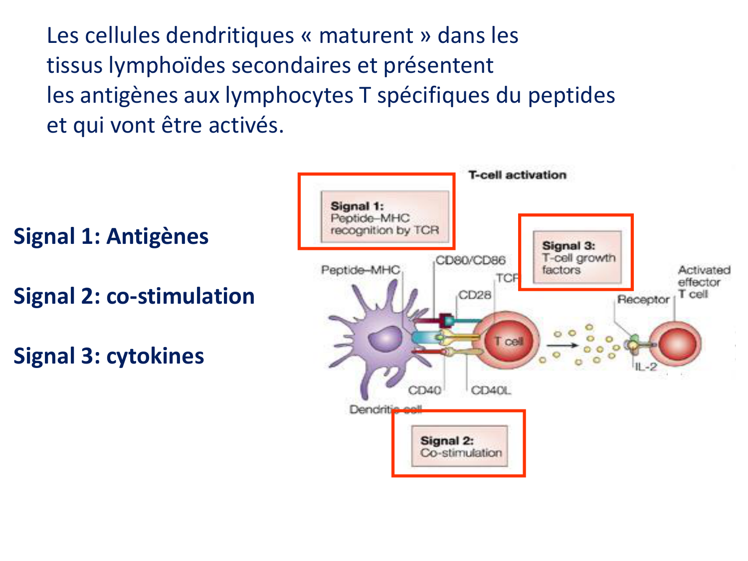 1ere 20.03 2026 Villard day 2 page 20