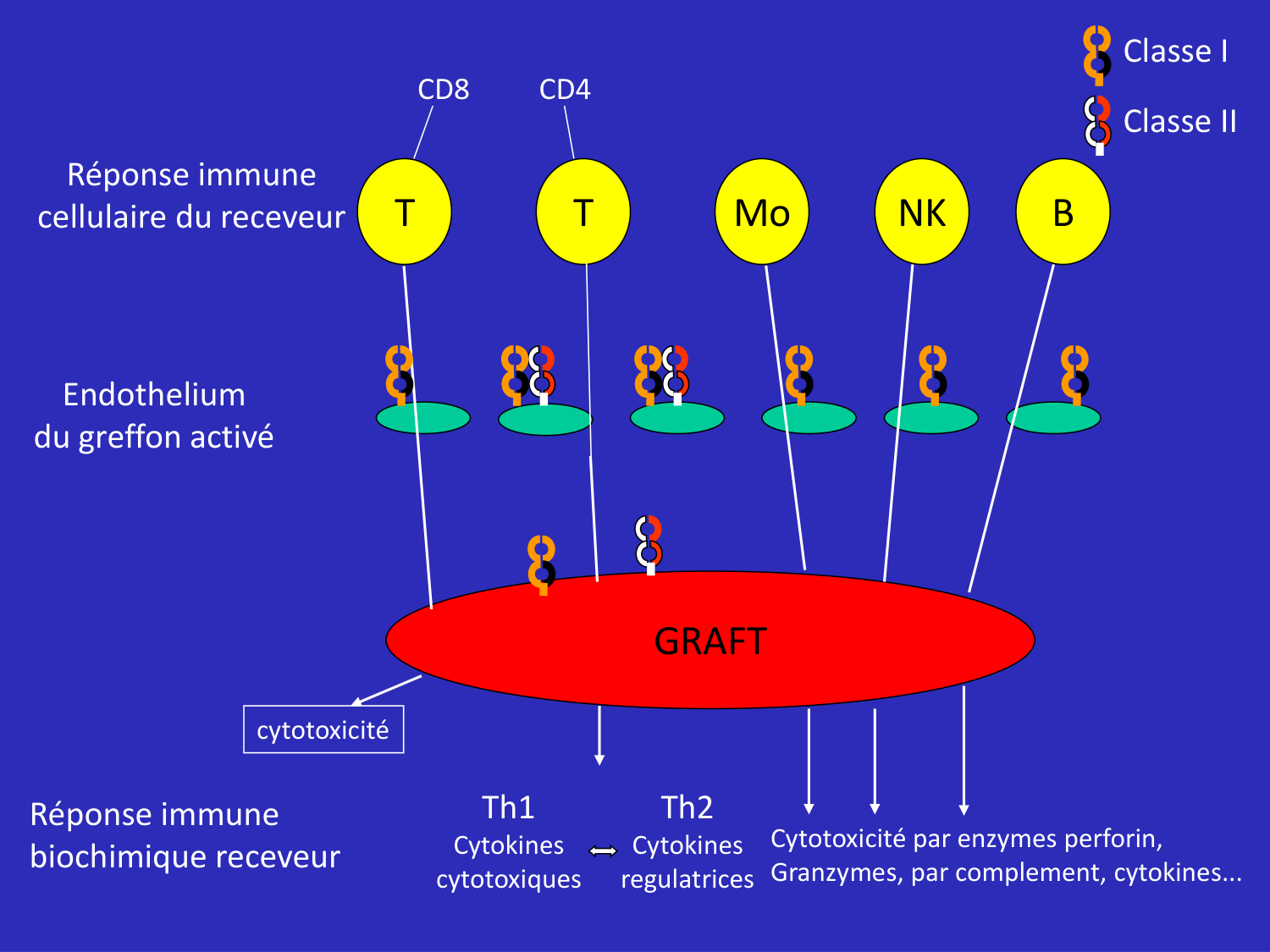 1ere 20.03 2026 Villard day 2 page 22